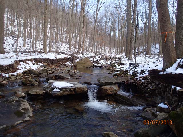 Field photo showing stream conditions at site ANTI-101-S-2013-MidpointPupstream
