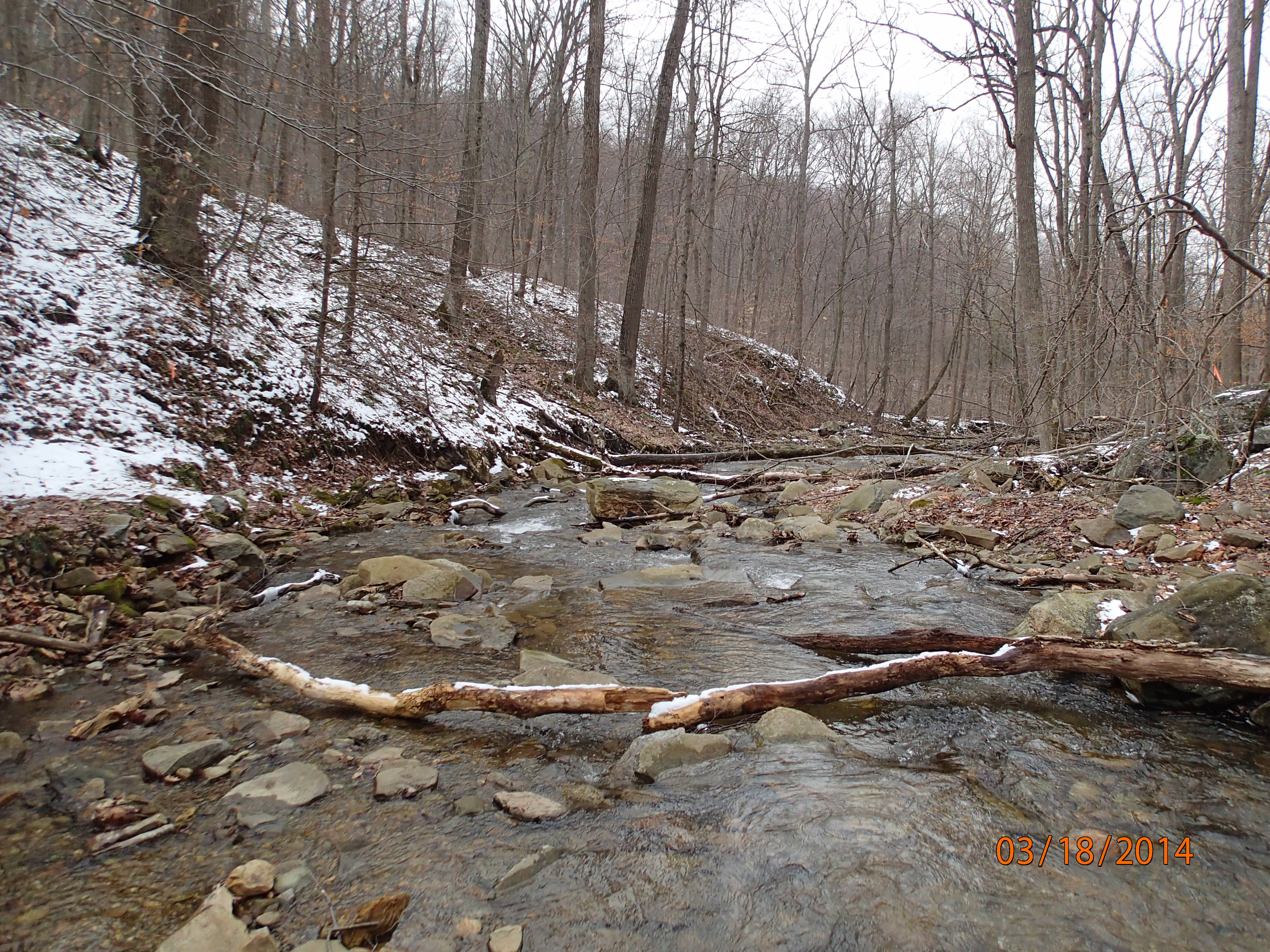 Field photo showing stream conditions at site ANTI-101-S-2014-MidpointDownstream