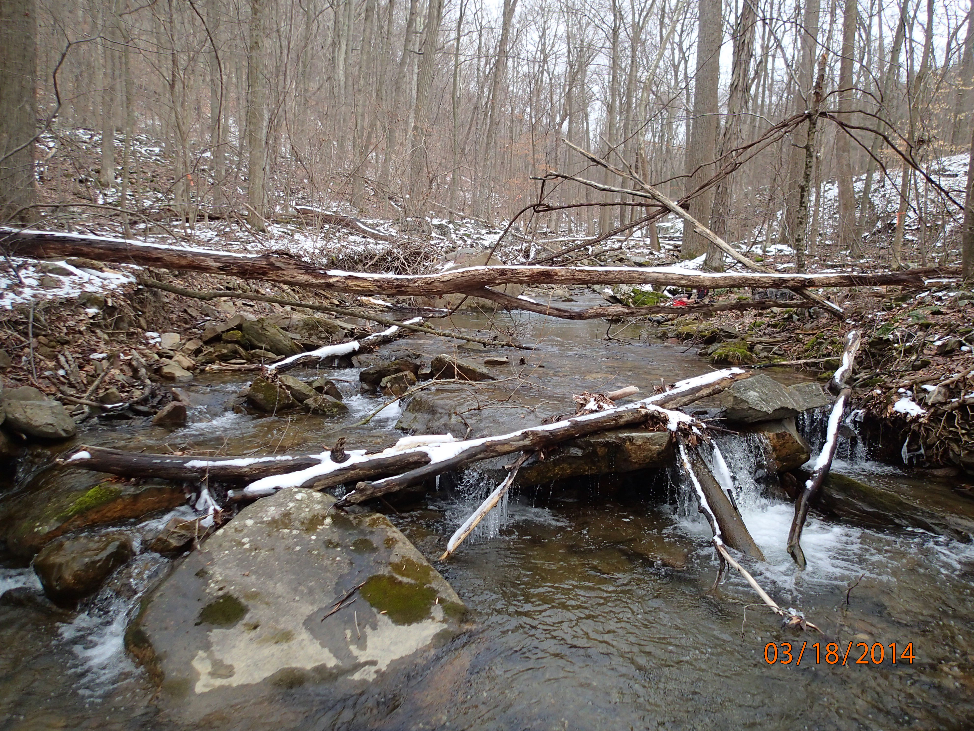Field photo showing stream conditions at site ANTI-101-S-2014-MidpointUpstream