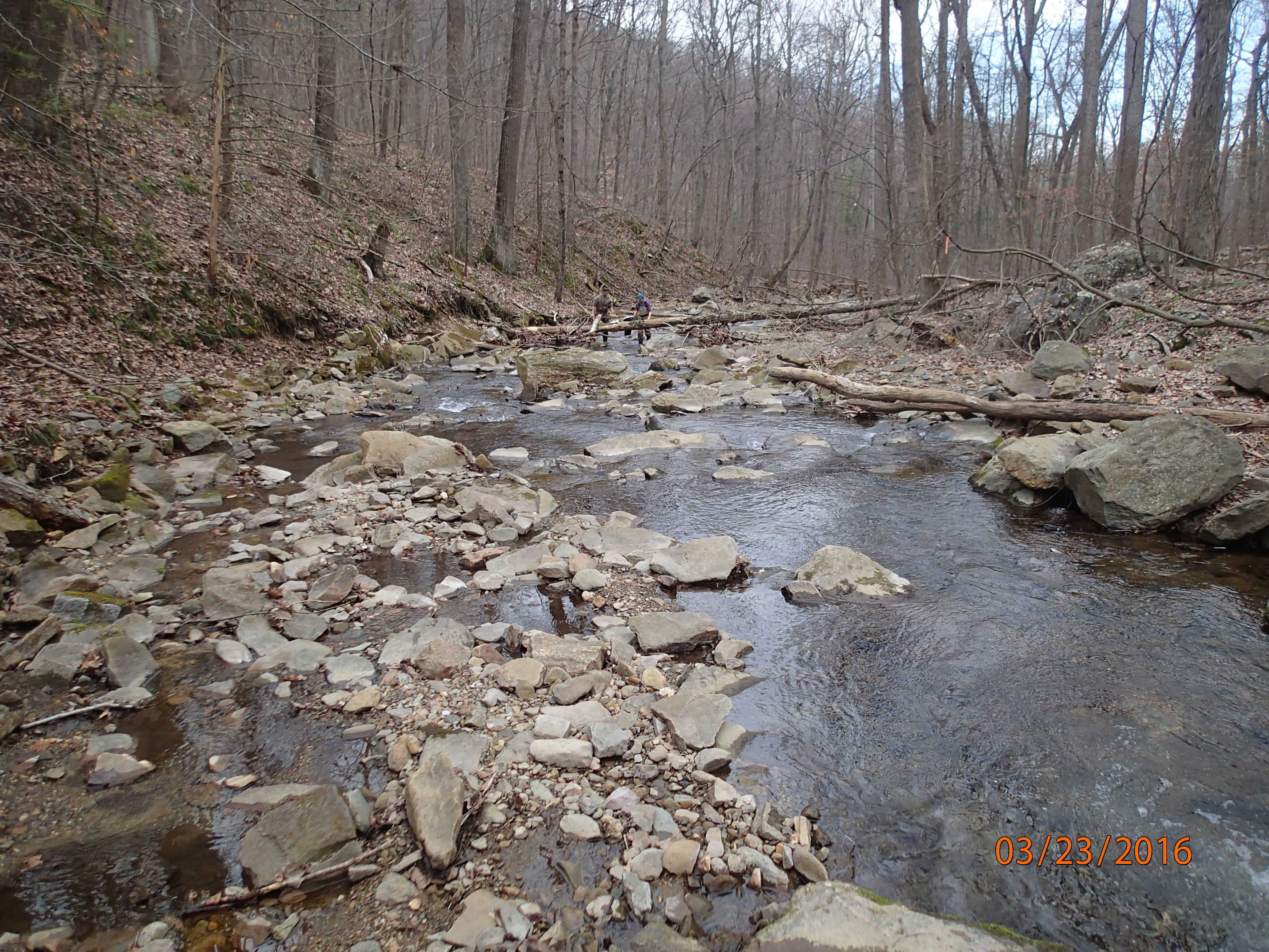 Field photo showing stream conditions at site ANTI-101-S-2016-MidpointPDownstream