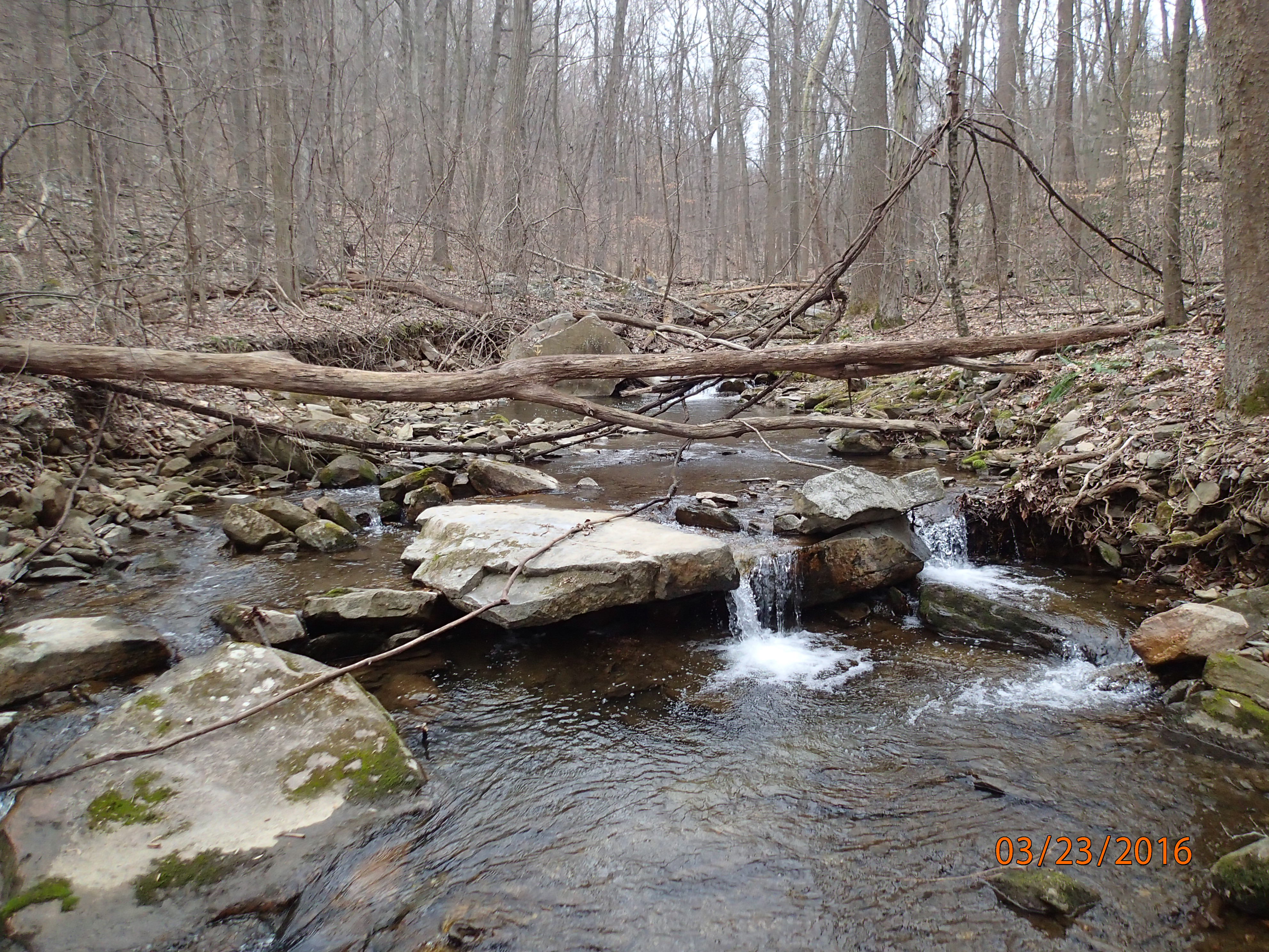 Field photo showing stream conditions at site ANTI-101-S-2016-MidpointPUpstream