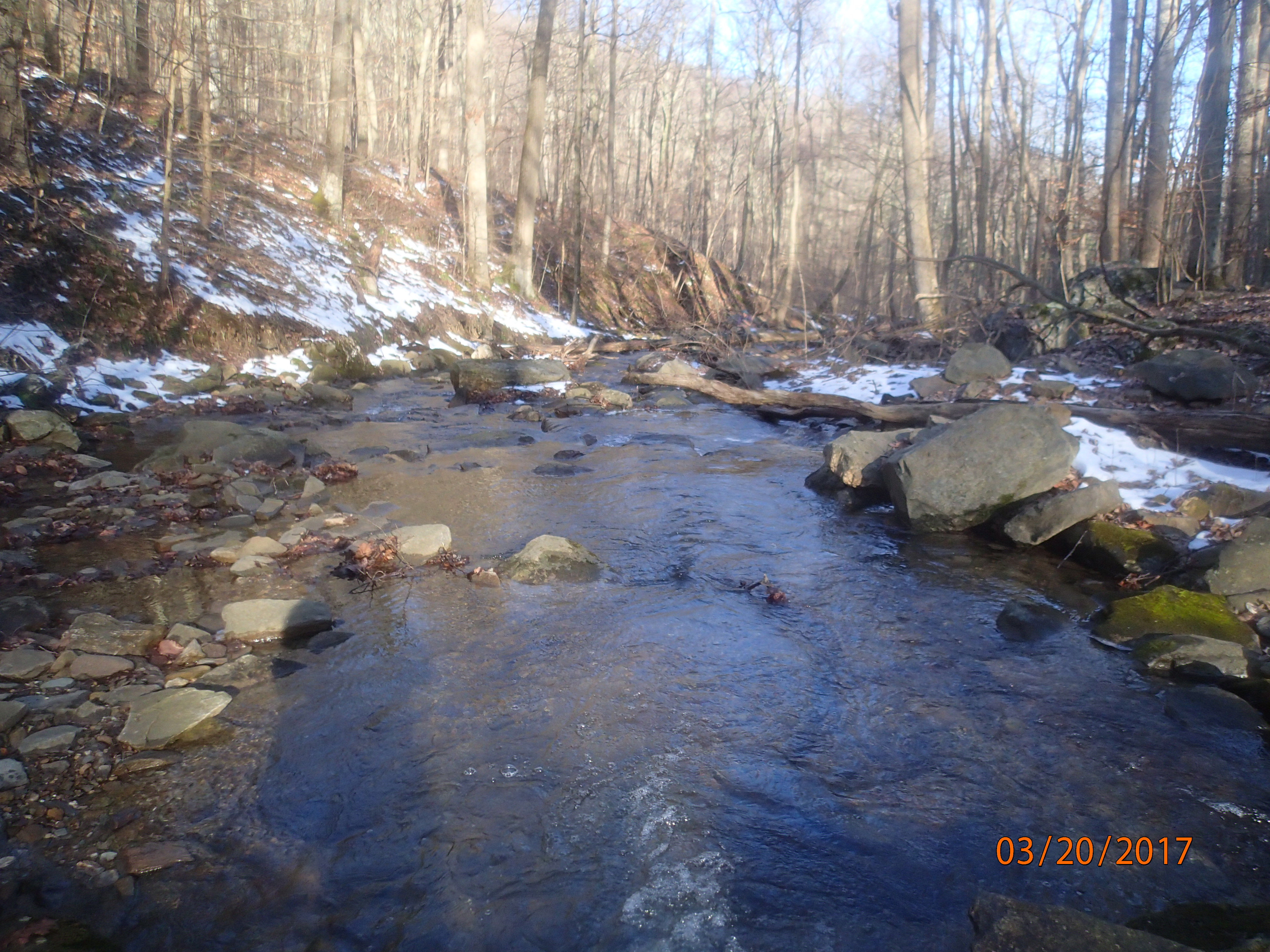 Field photo showing stream conditions at site ANTI-101-S-2017-MidpointPDownstream