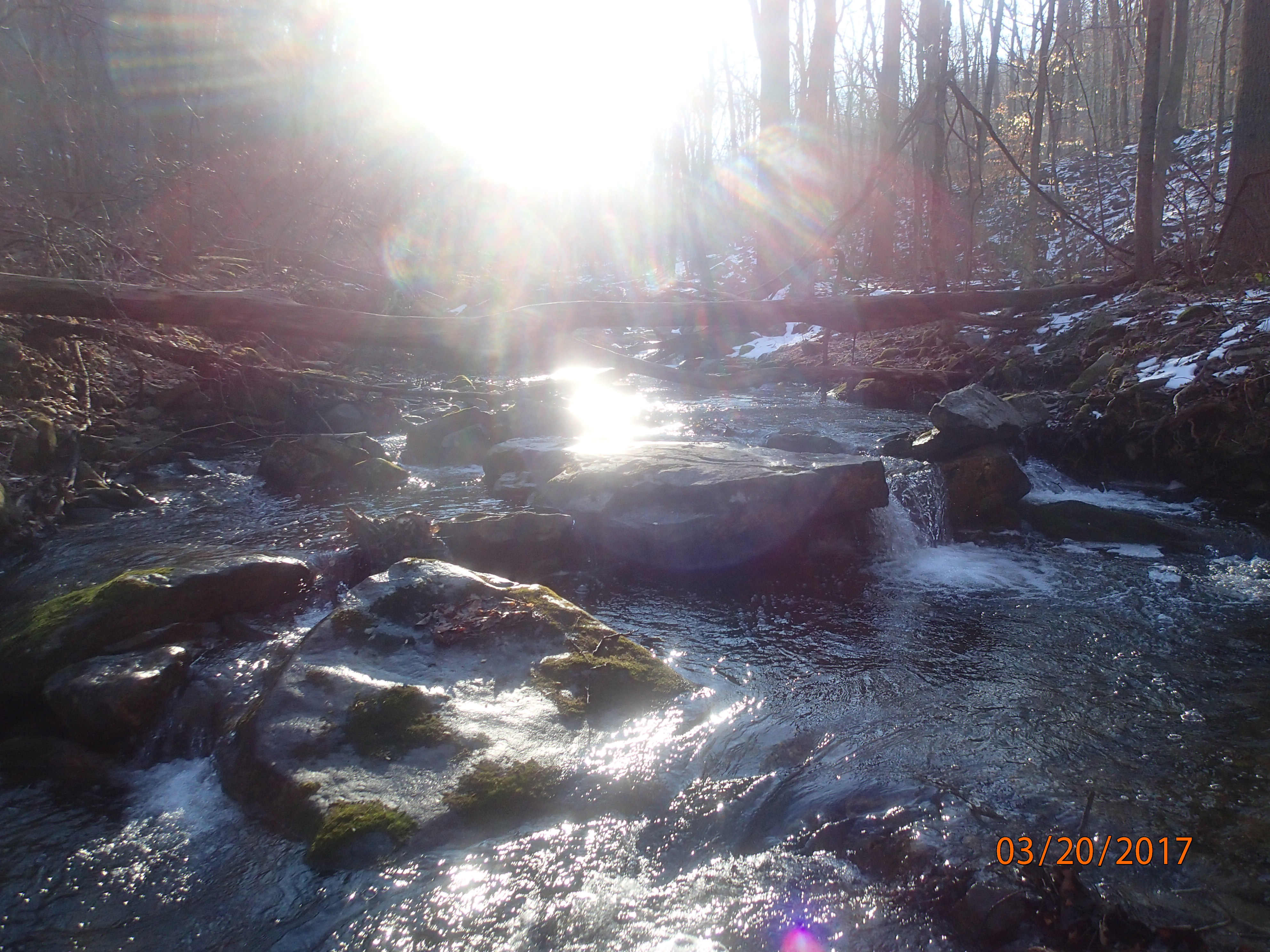 Field photo showing stream conditions at site ANTI-101-S-2017-MidpointPUpstream