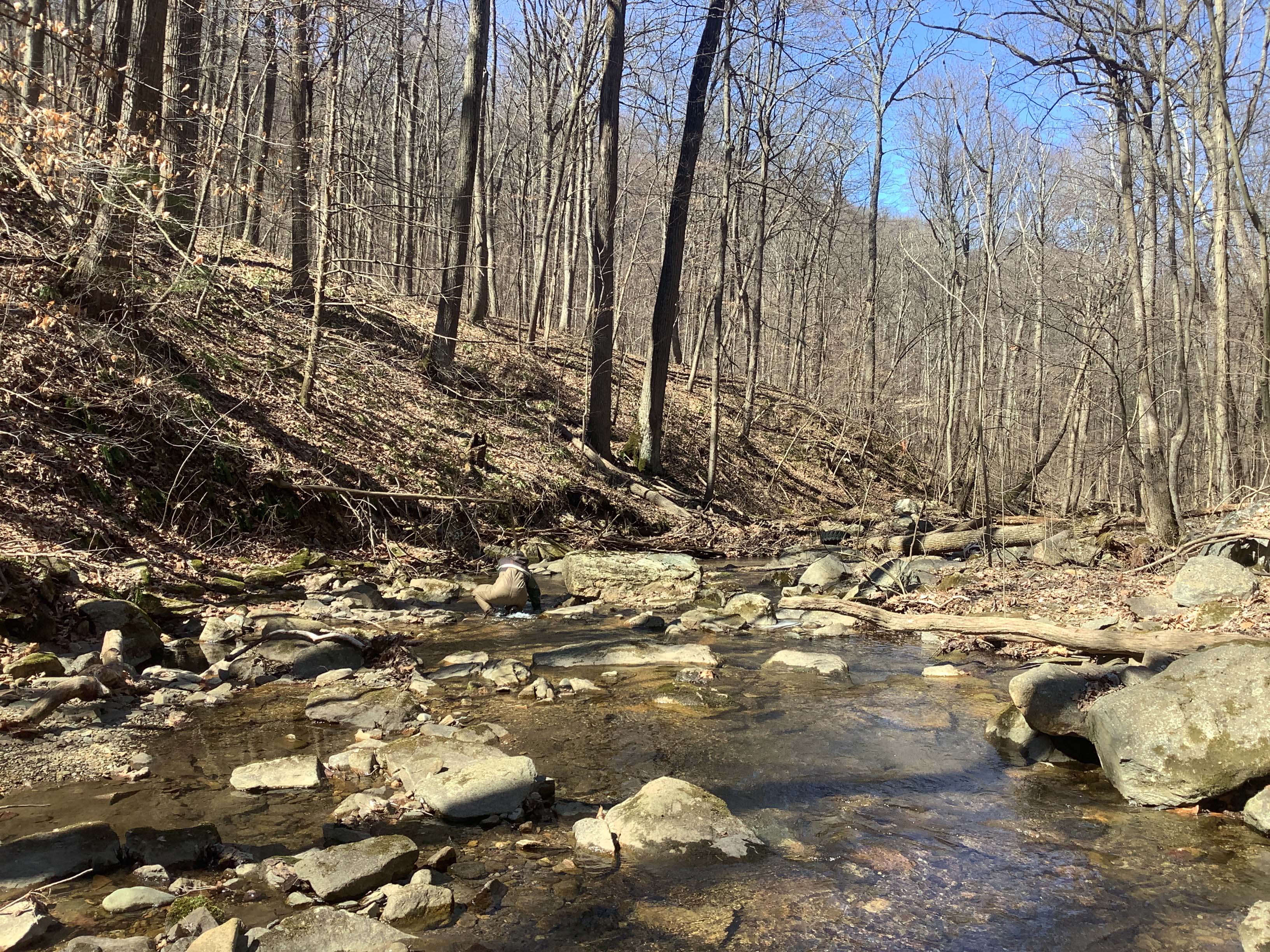 Field photo showing stream conditions at site ANTI-101-S-2023_Midpoint_facing_downstream