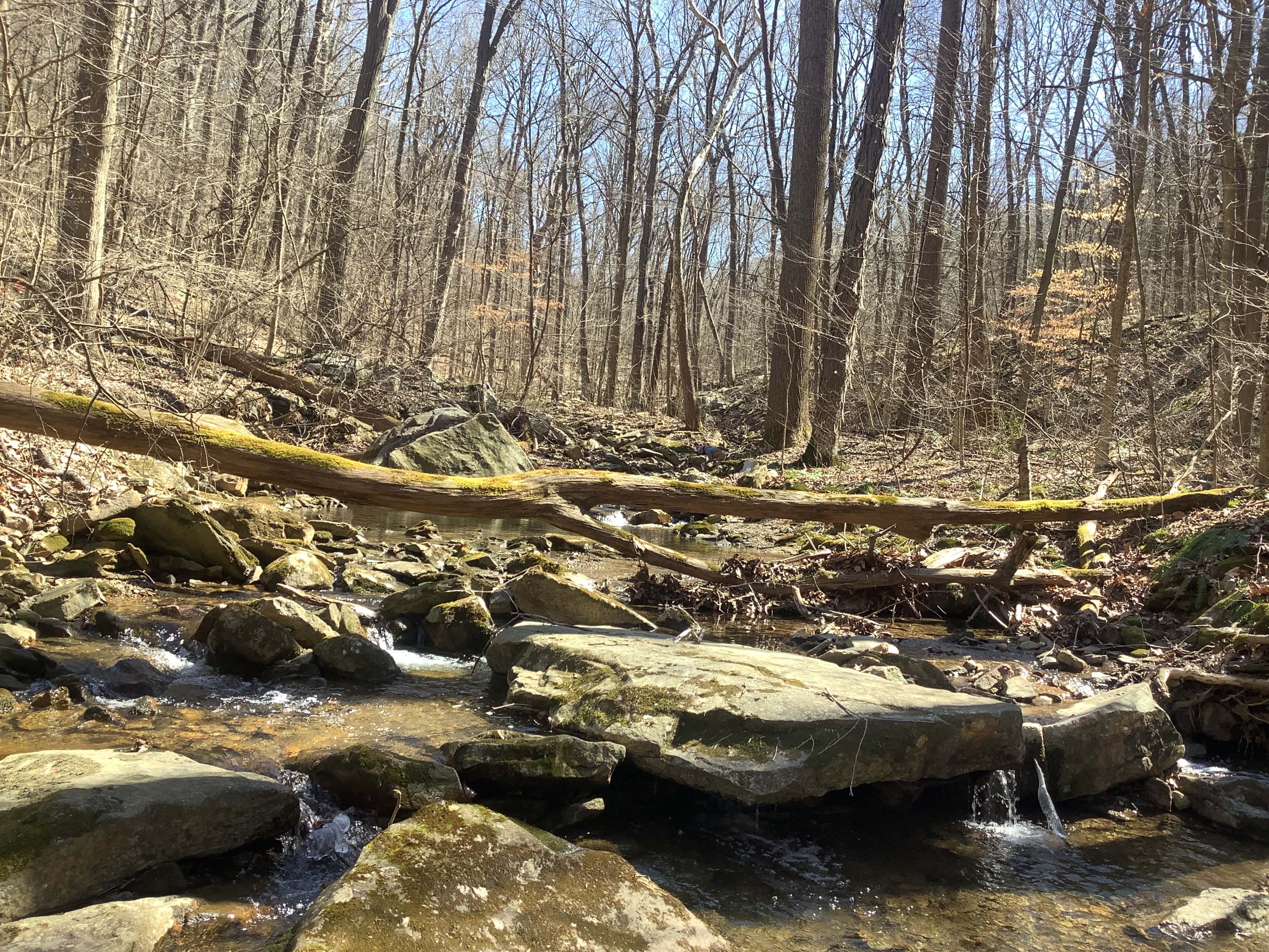 Field photo showing stream conditions at site ANTI-101-S-2023_Midpoint_facing_upstream