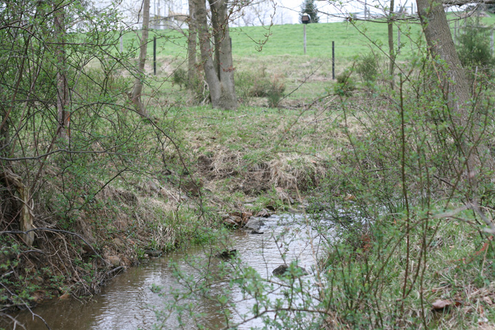 Field photo showing stream conditions at site ANTI-104-R-2009-2