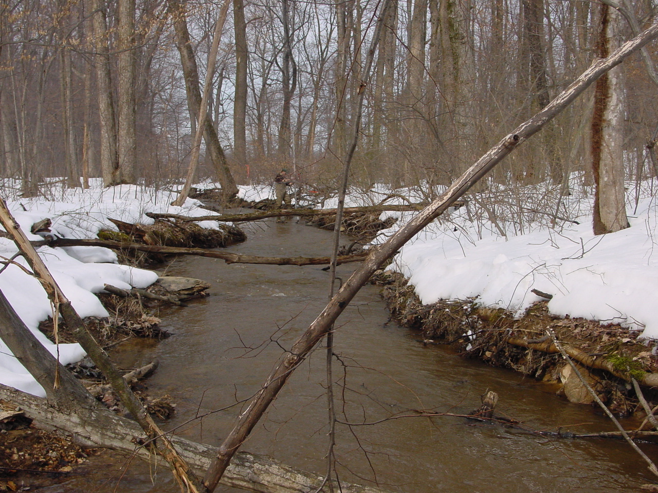 Field photo showing stream conditions at site ANTI-105-R-2003-1