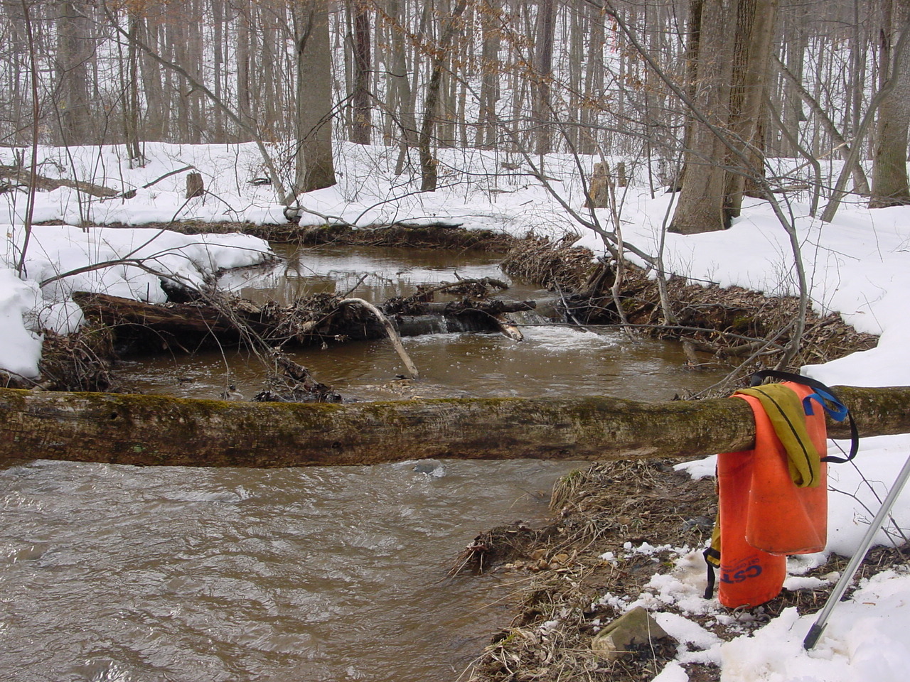 Field photo showing stream conditions at site ANTI-105-R-2003-2