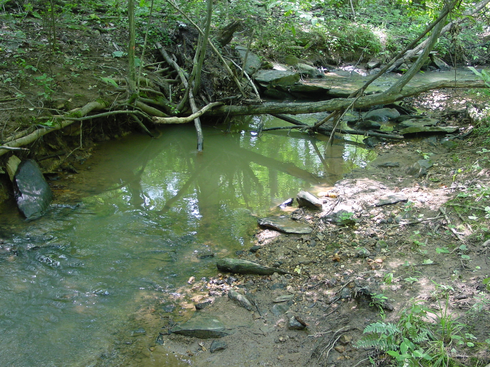 Field photo showing stream conditions at site ANTI-105-R-2003-3