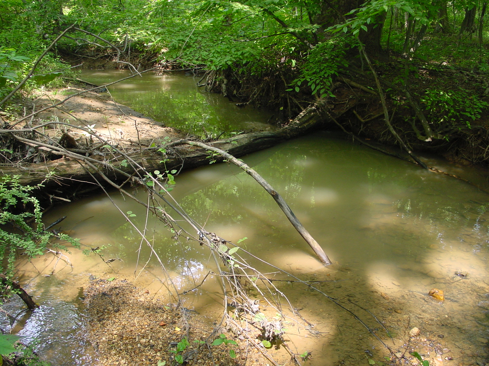 Field photo showing stream conditions at site ANTI-105-R-2003-4