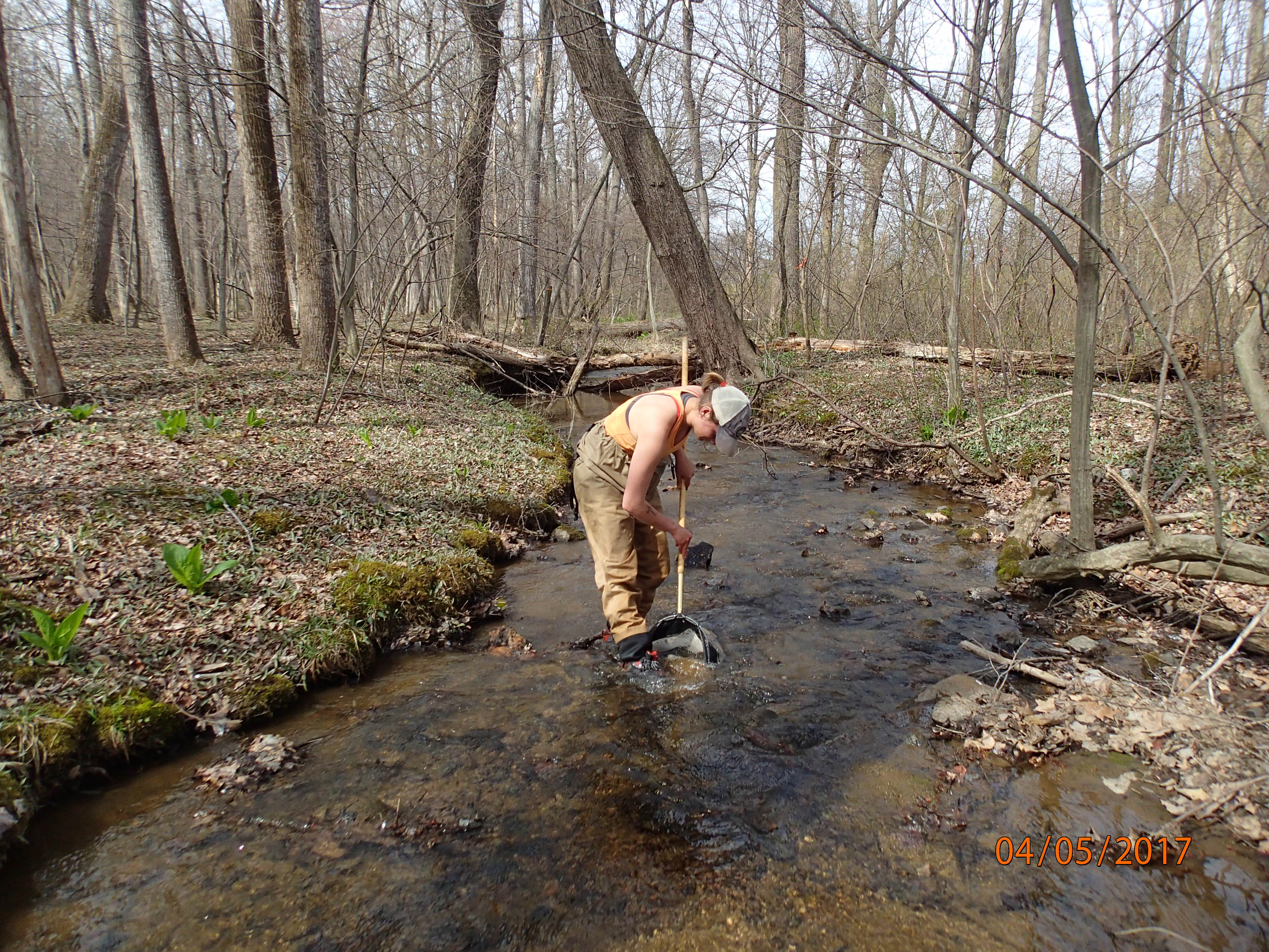 Field photo showing stream conditions at site ANTI-105-R-2017-MidpointDownstream