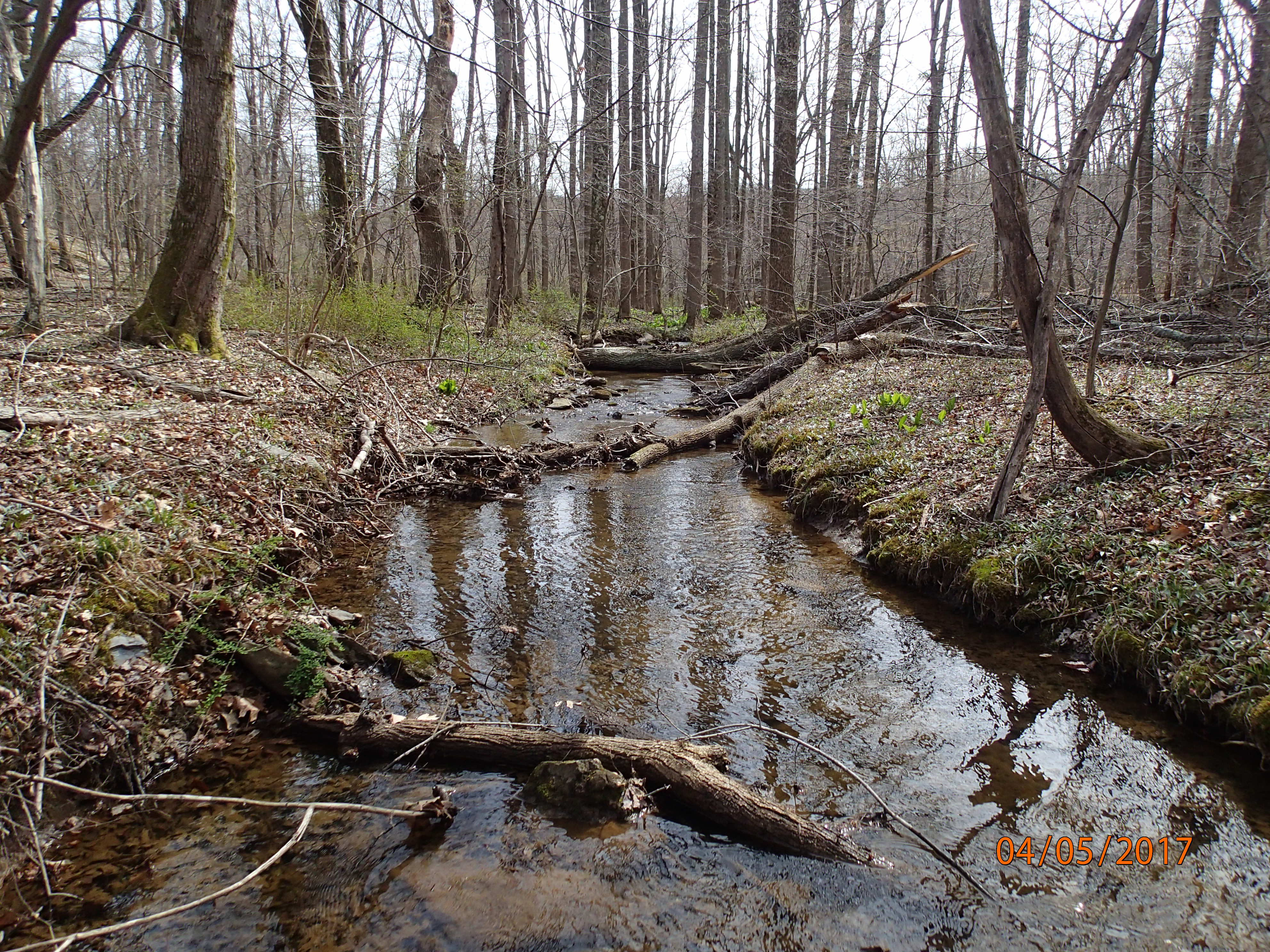 Field photo showing stream conditions at site ANTI-105-R-2017-MidpointUpstream