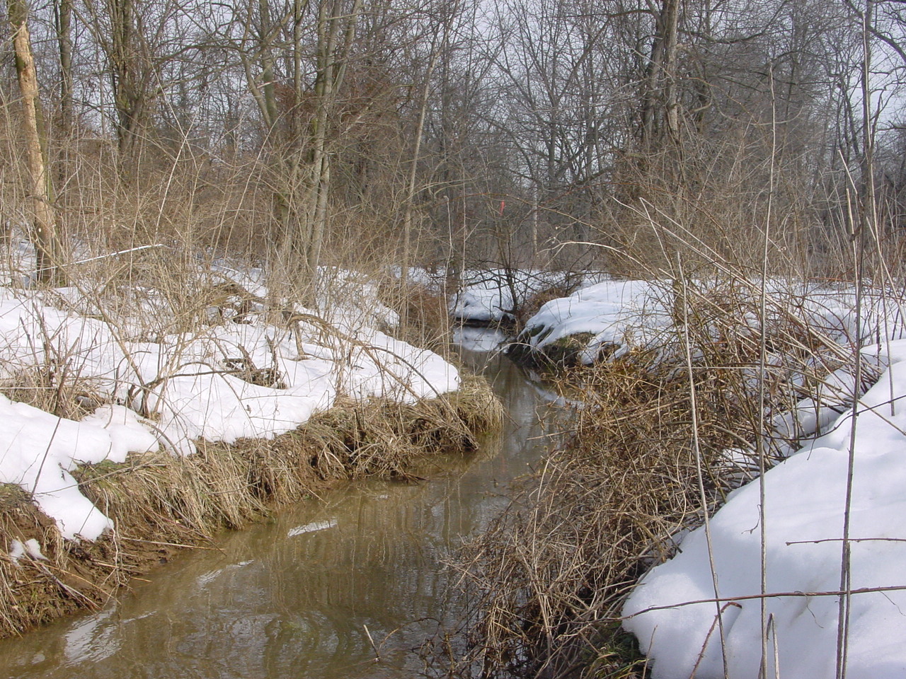 Field photo showing stream conditions at site ANTI-106-R-2003-2