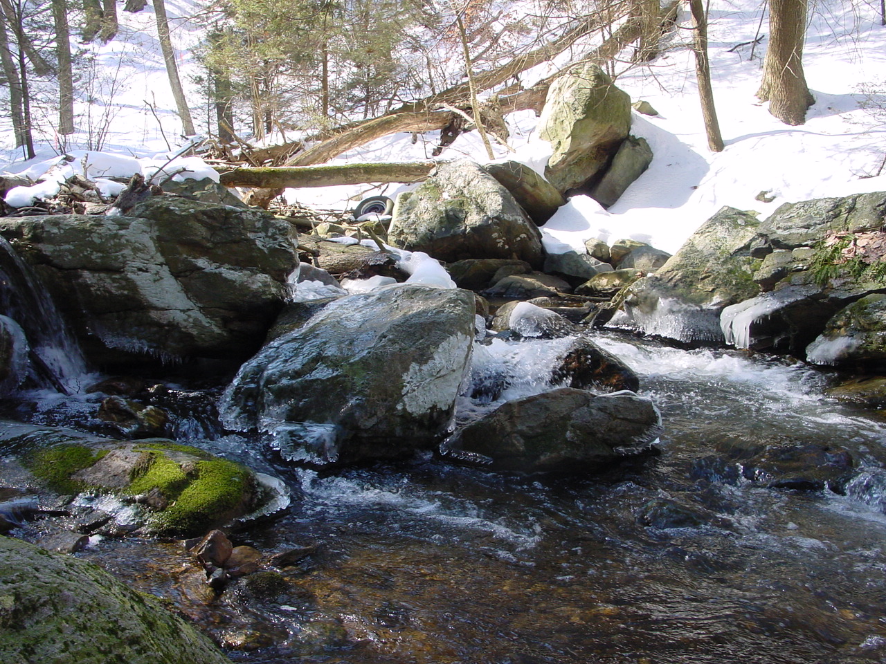 Field photo showing stream conditions at site ANTI-107-R-2003-1