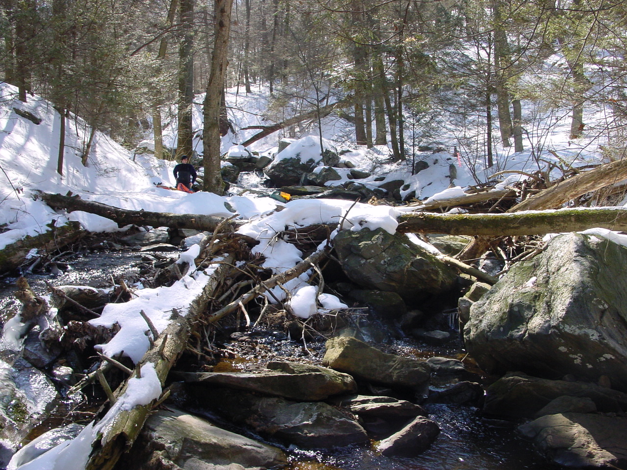 Field photo showing stream conditions at site ANTI-107-R-2003-2