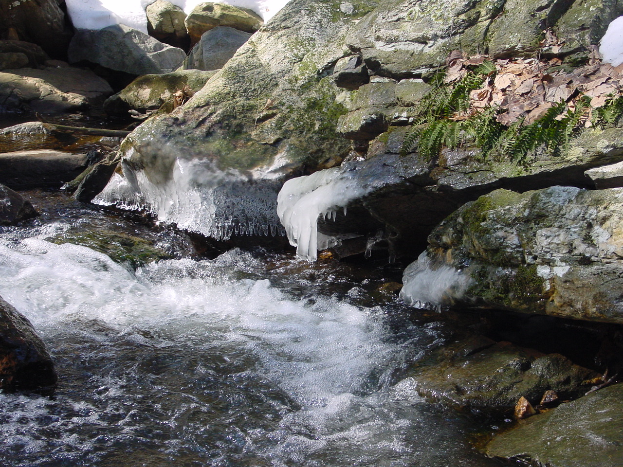 Field photo showing stream conditions at site ANTI-107-R-2003-3