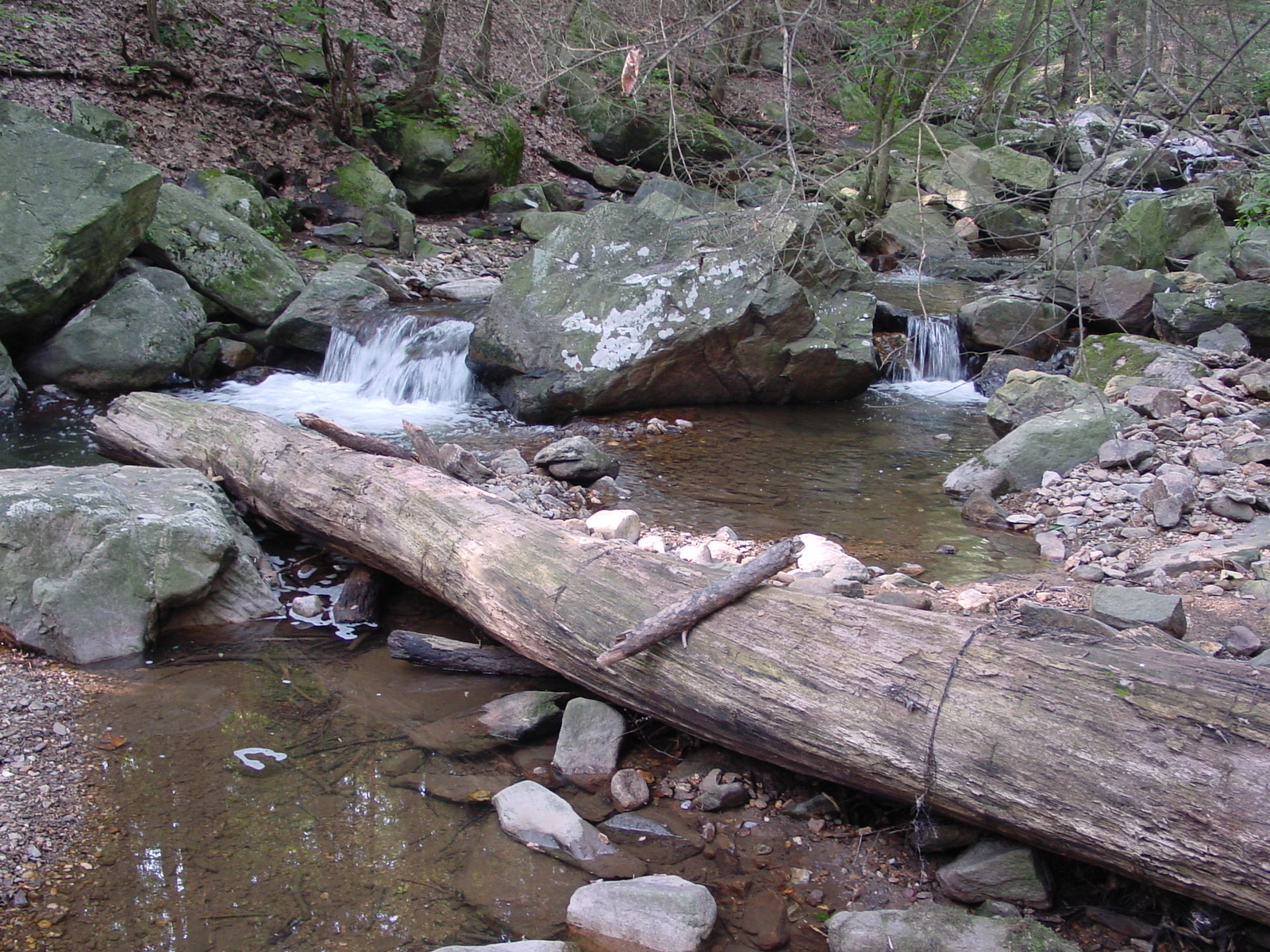 Field photo showing stream conditions at site ANTI-107-R-2003-4