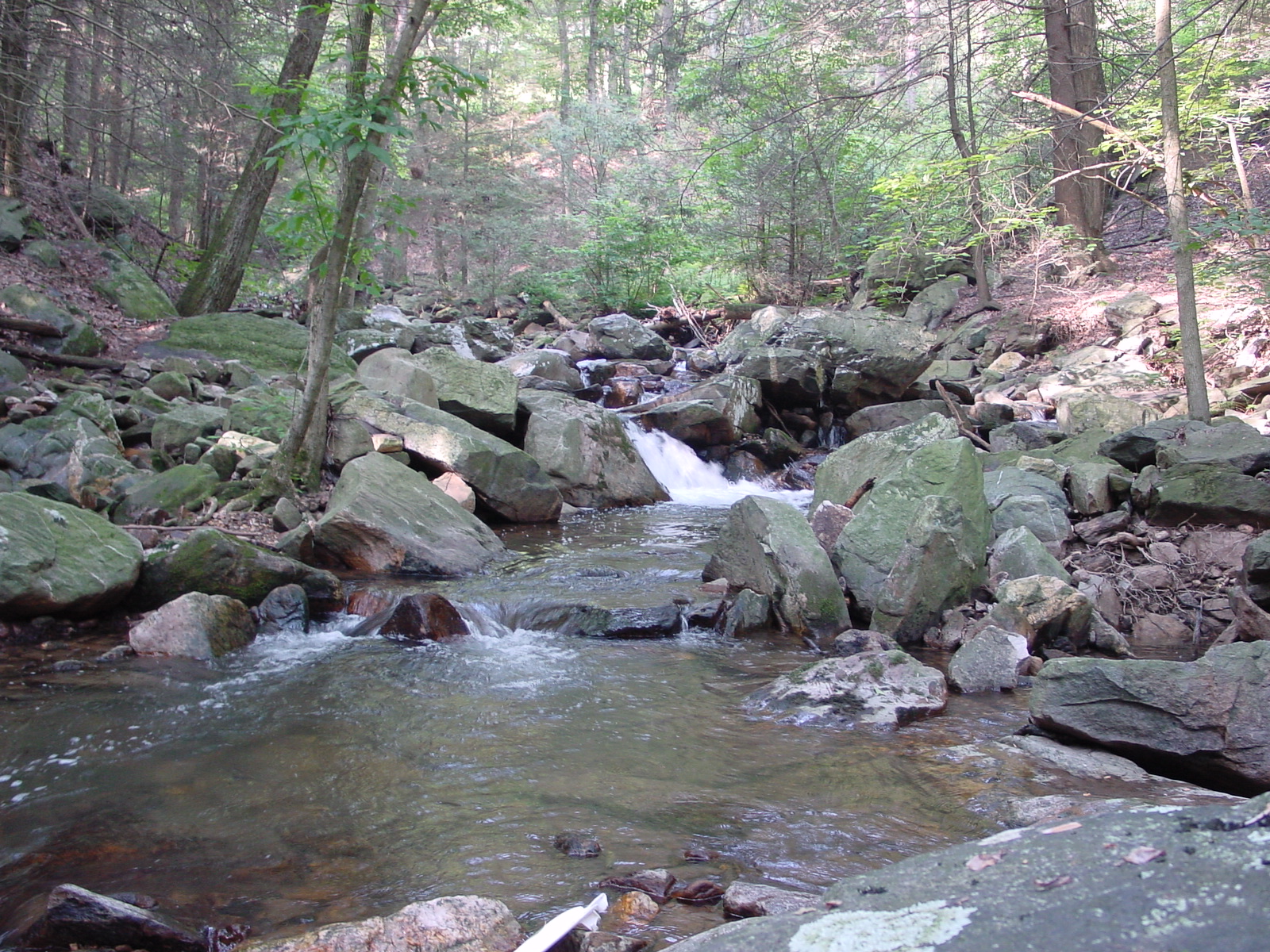 Field photo showing stream conditions at site ANTI-107-R-2003-5