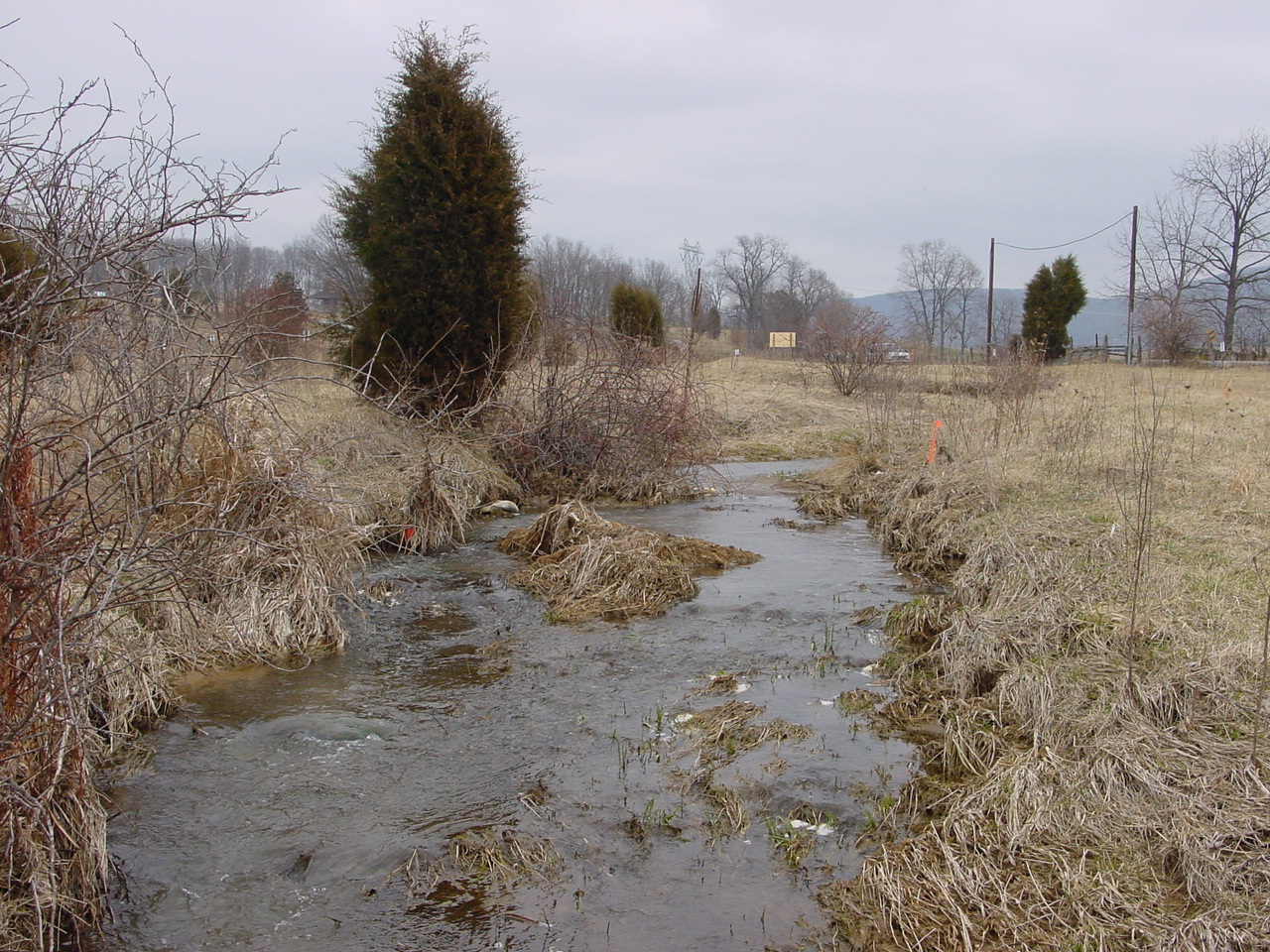 Field photo showing stream conditions at site ANTI-111-R-2003-1