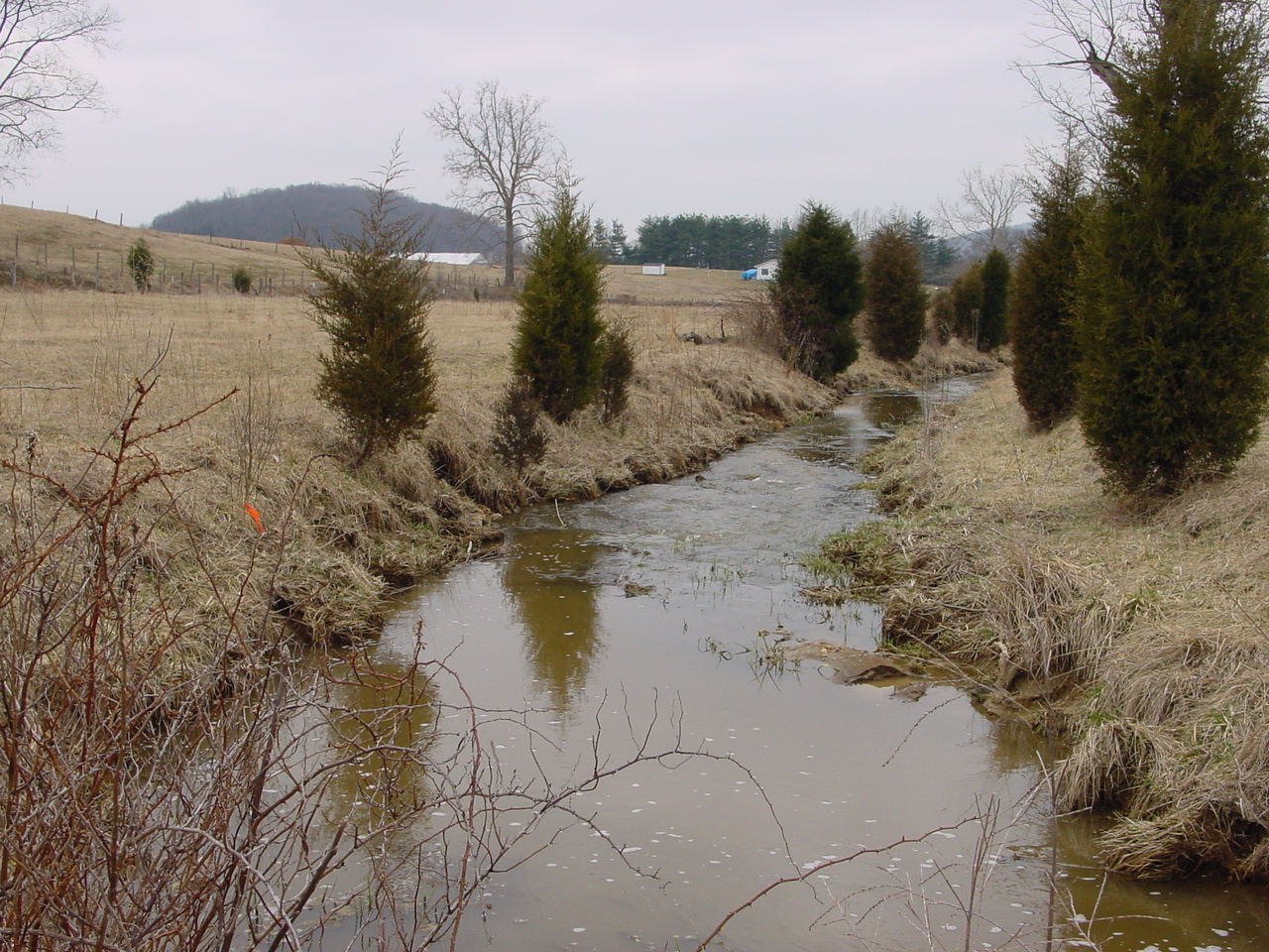 Field photo showing stream conditions at site ANTI-111-R-2003-2