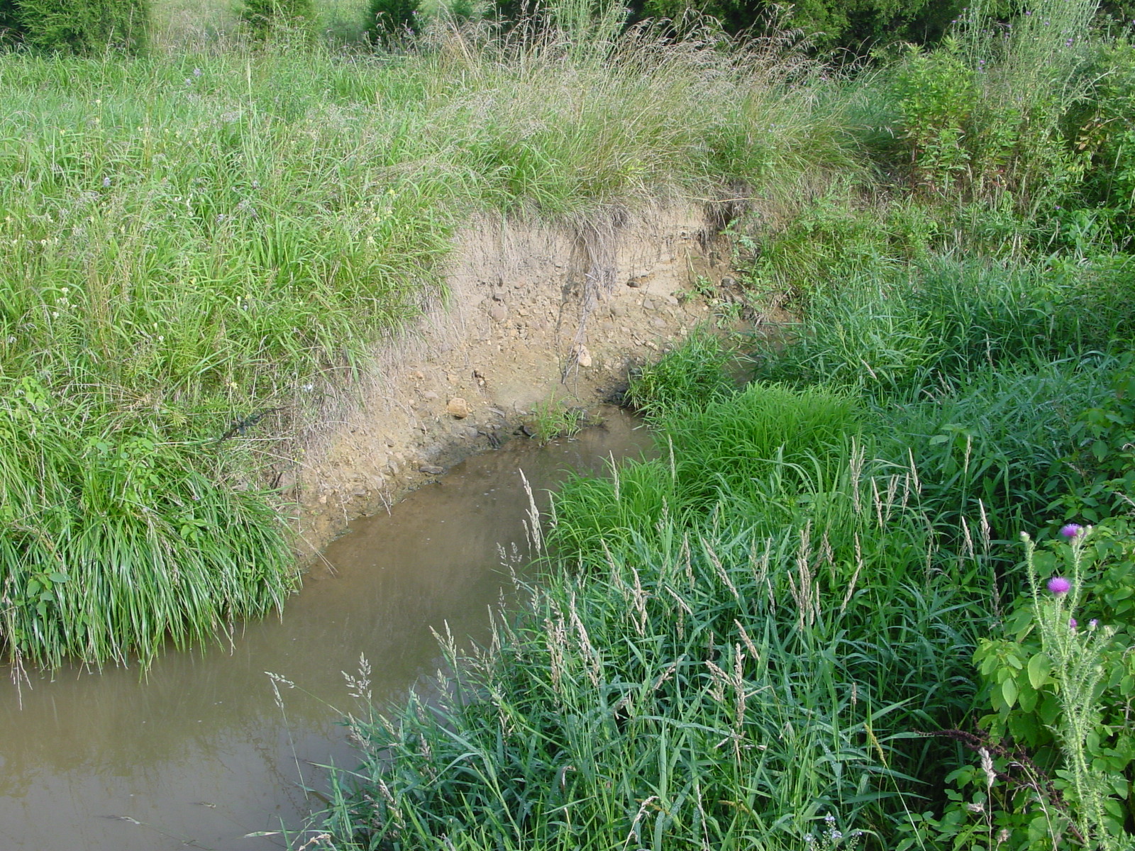 Field photo showing stream conditions at site ANTI-111-R-2003-4