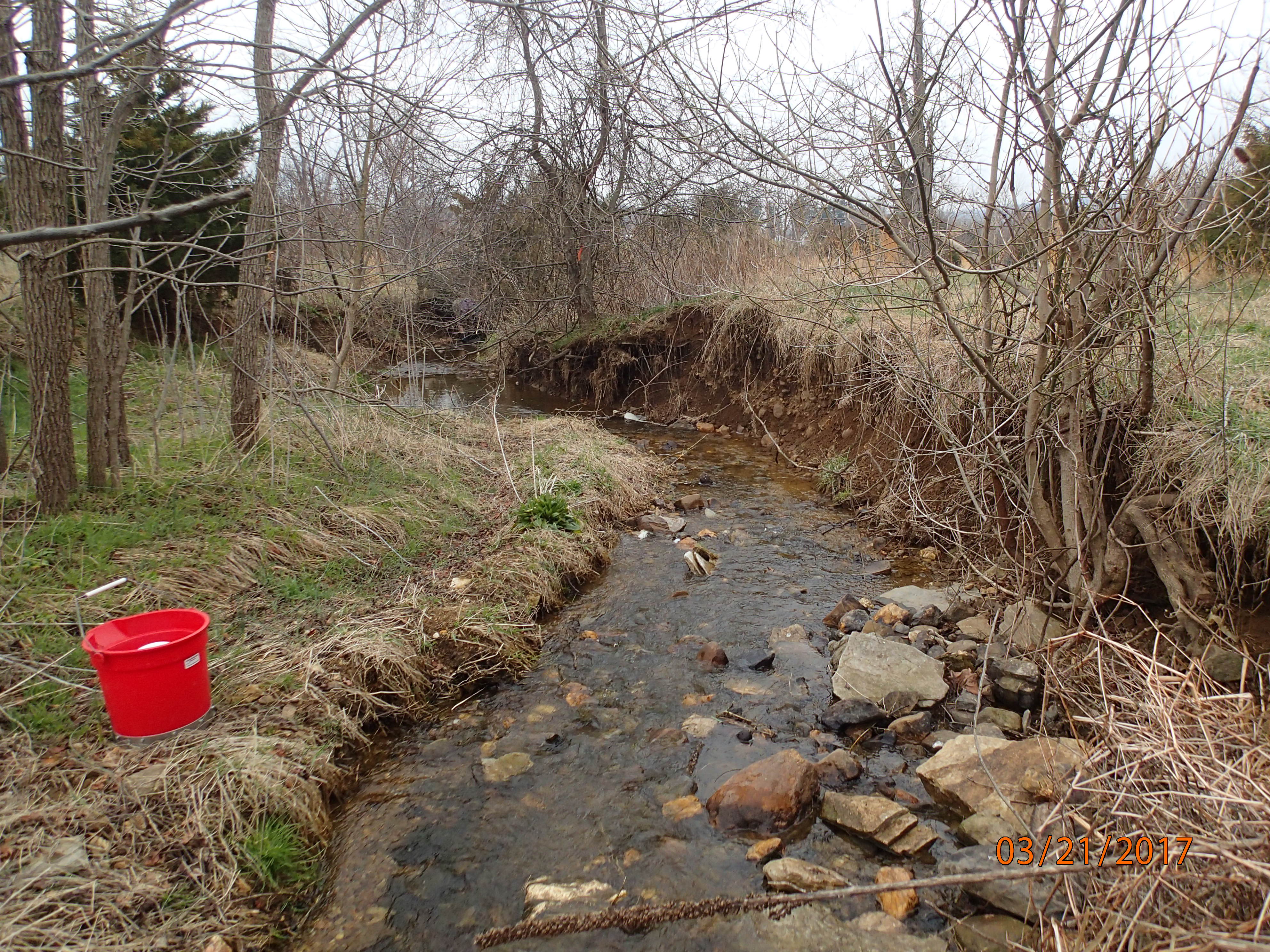 Field photo showing stream conditions at site ANTI-111-R-2017-MidpointDownstream