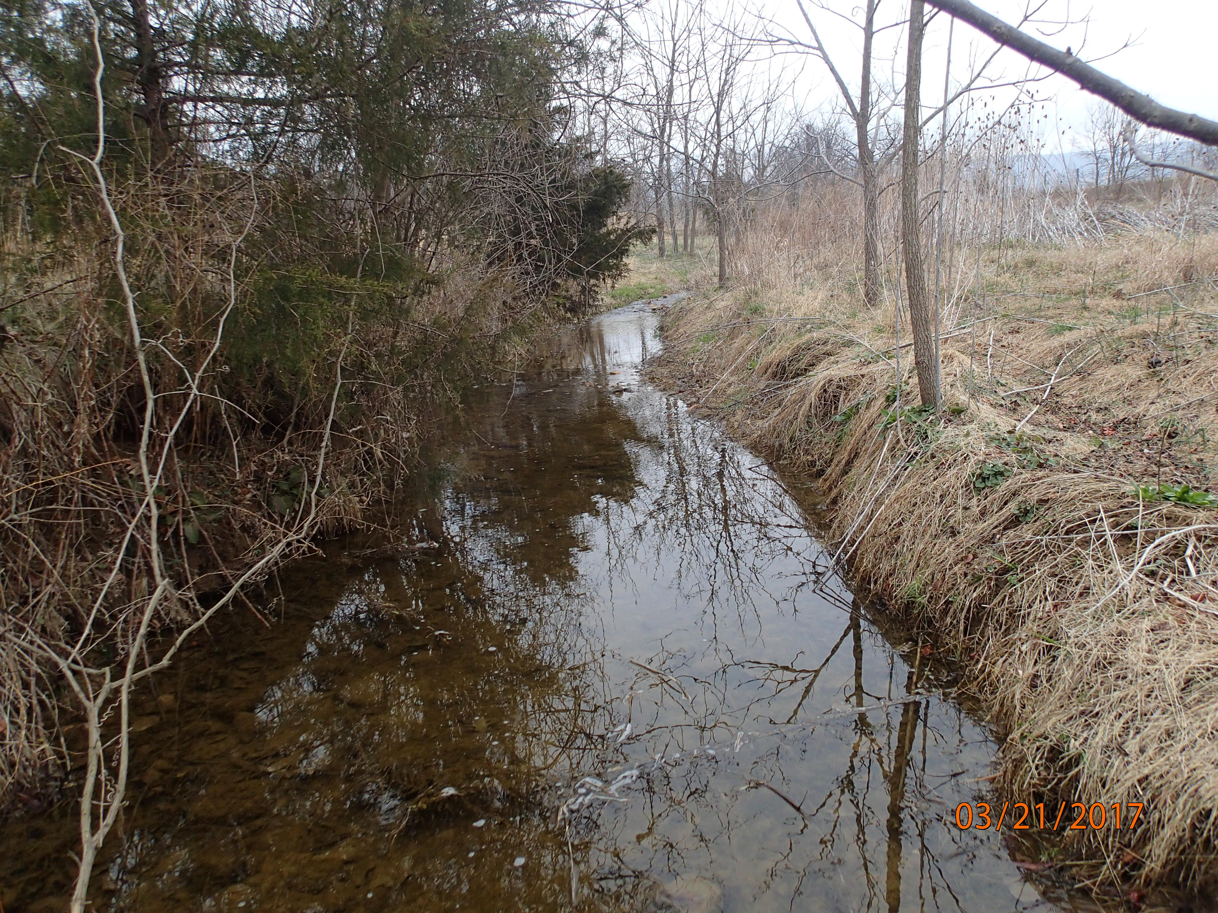 Field photo showing stream conditions at site ANTI-111-R-2017-MidpointUpstream