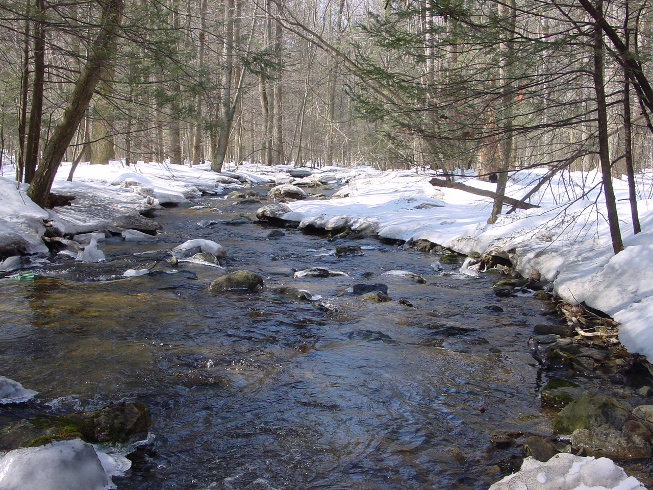 Field photo showing stream conditions at site ANTI-113-R-2003-1