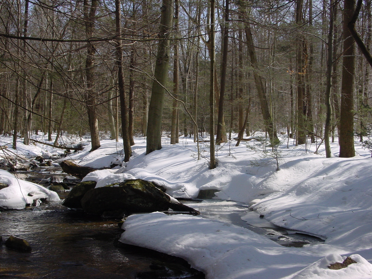 Field photo showing stream conditions at site ANTI-113-R-2003-2