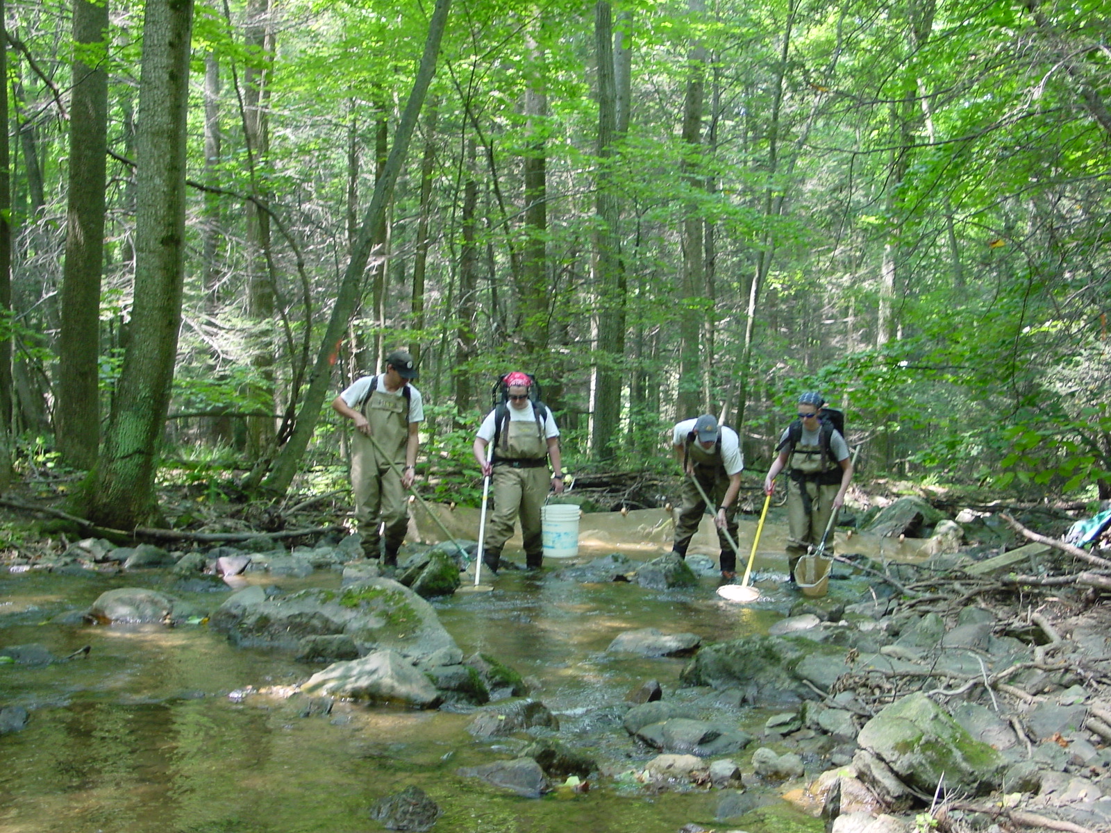 Field photo showing stream conditions at site ANTI-113-R-2003-4
