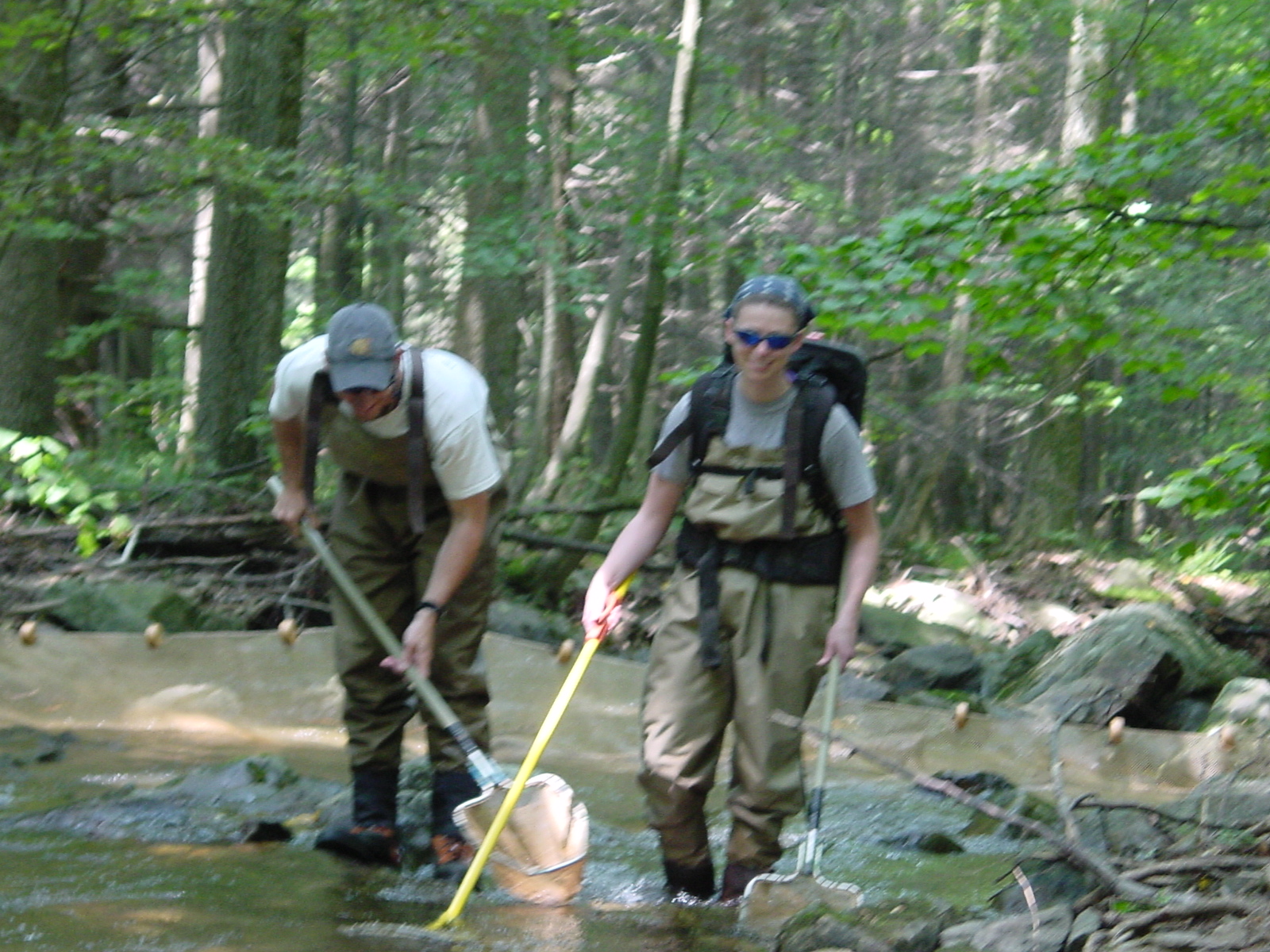 Field photo showing stream conditions at site ANTI-113-R-2003-5
