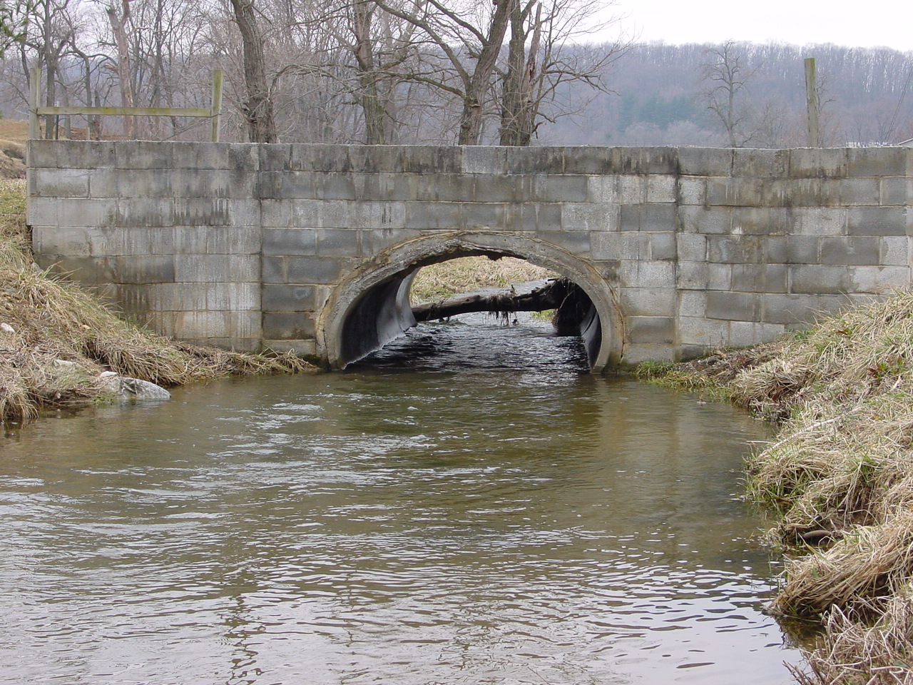 Field photo showing stream conditions at site ANTI-116-R-2003-1