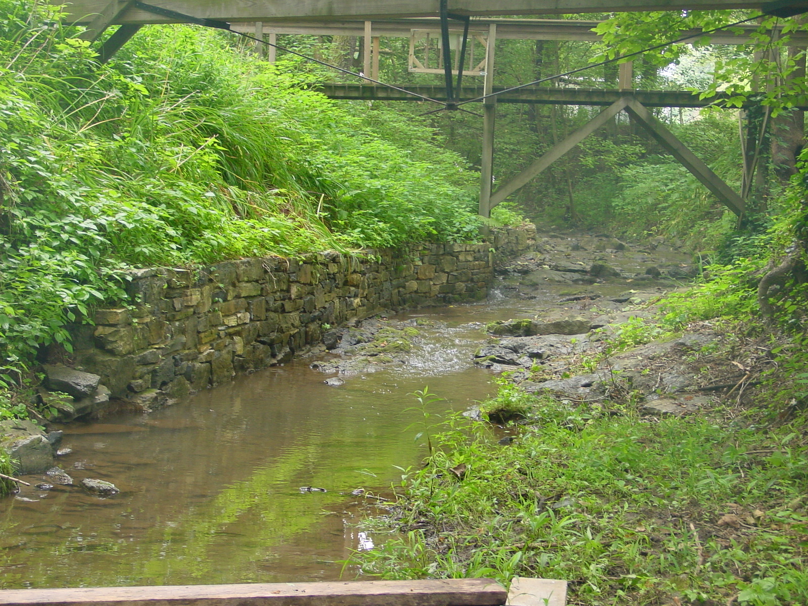 Field photo showing stream conditions at site ANTI-201-R-2003-3