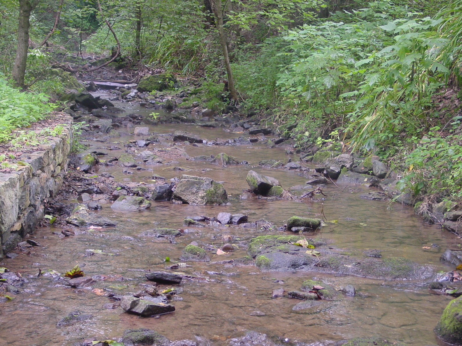 Field photo showing stream conditions at site ANTI-201-R-2003-4