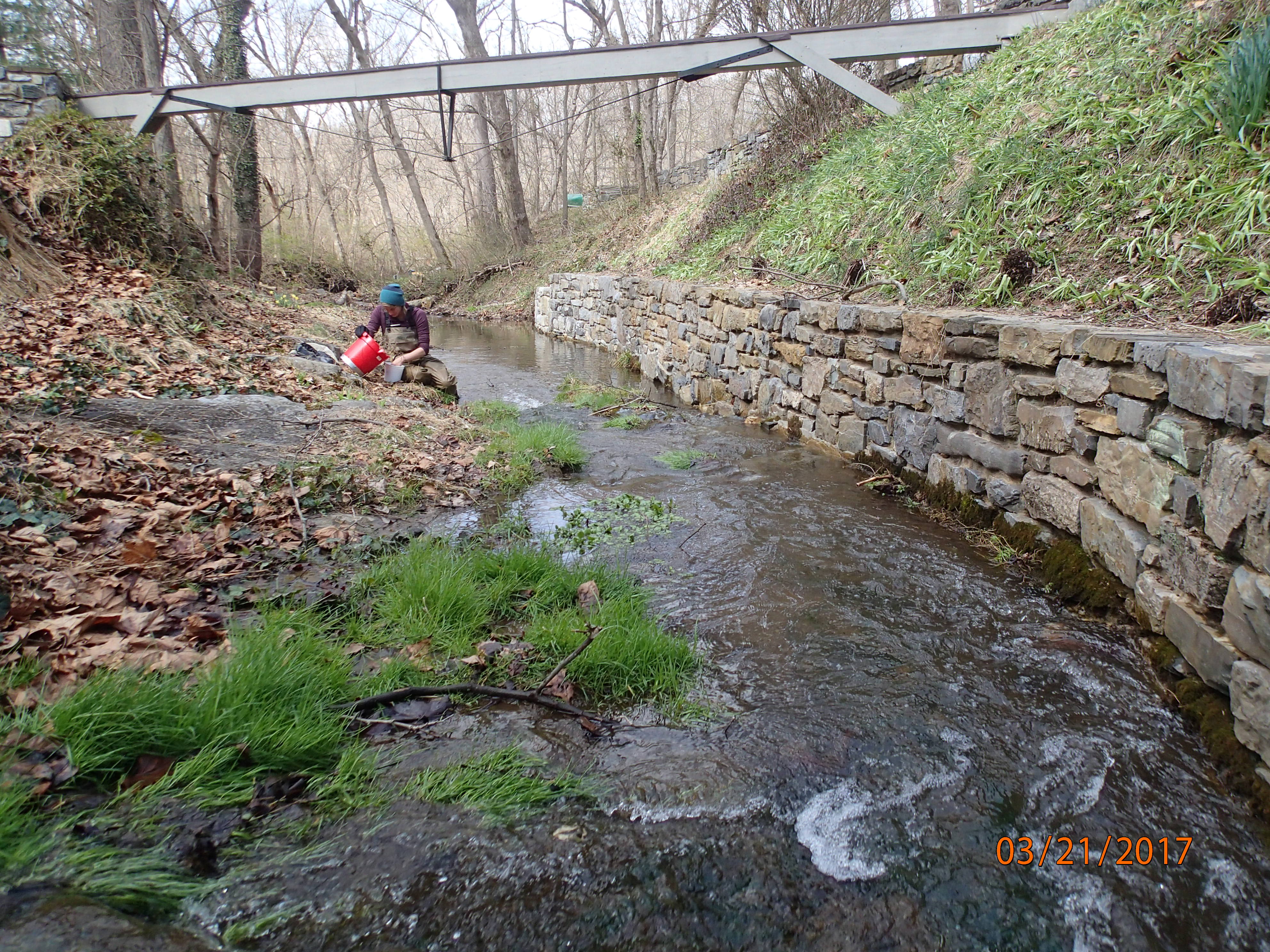 Field photo showing stream conditions at site ANTI-201-R-2017-MidpointDownstream