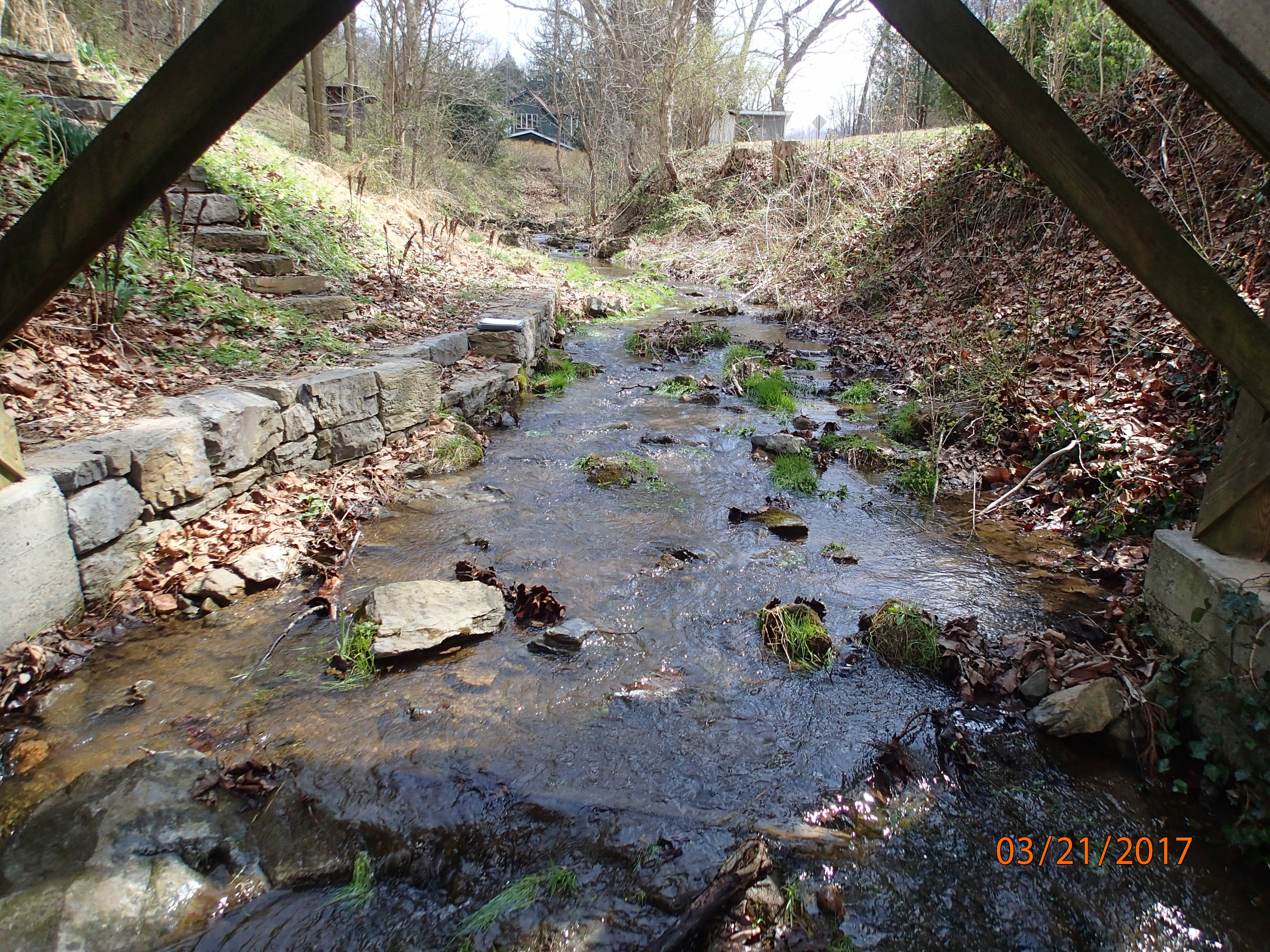 Field photo showing stream conditions at site ANTI-201-R-2017-MidpointUpstream