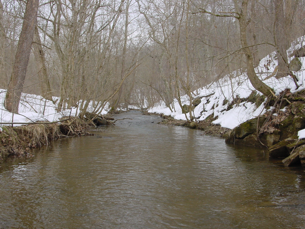 Field photo showing stream conditions at site ANTI-208-R-2003-1