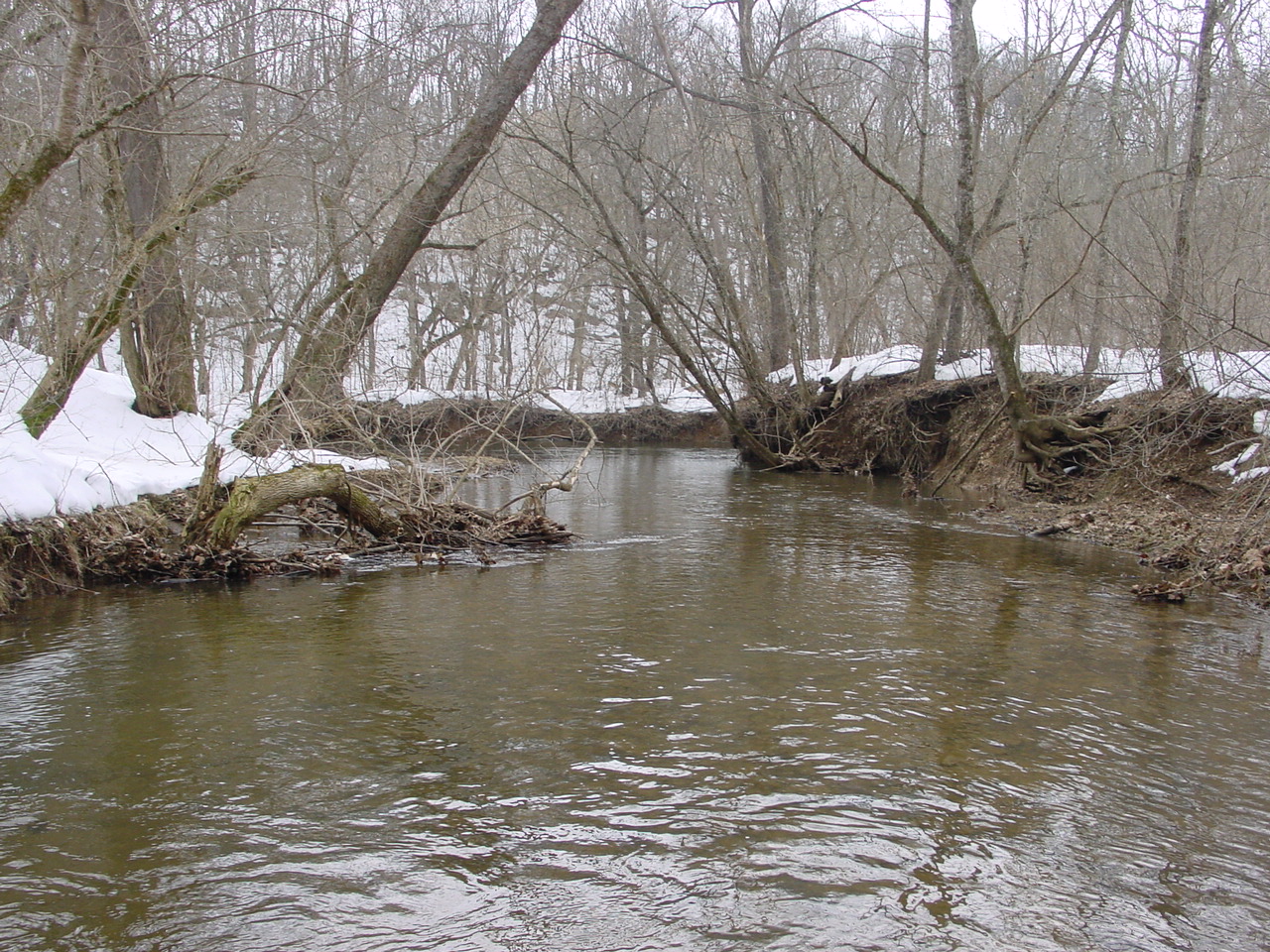 Field photo showing stream conditions at site ANTI-208-R-2003-2