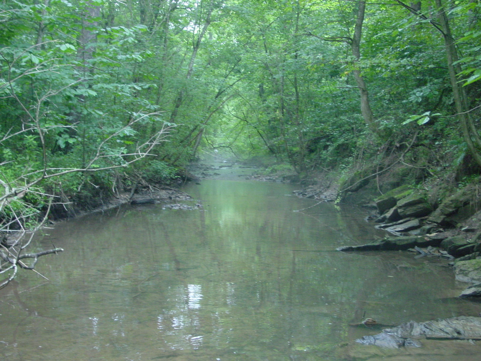 Field photo showing stream conditions at site ANTI-208-R-2003-4