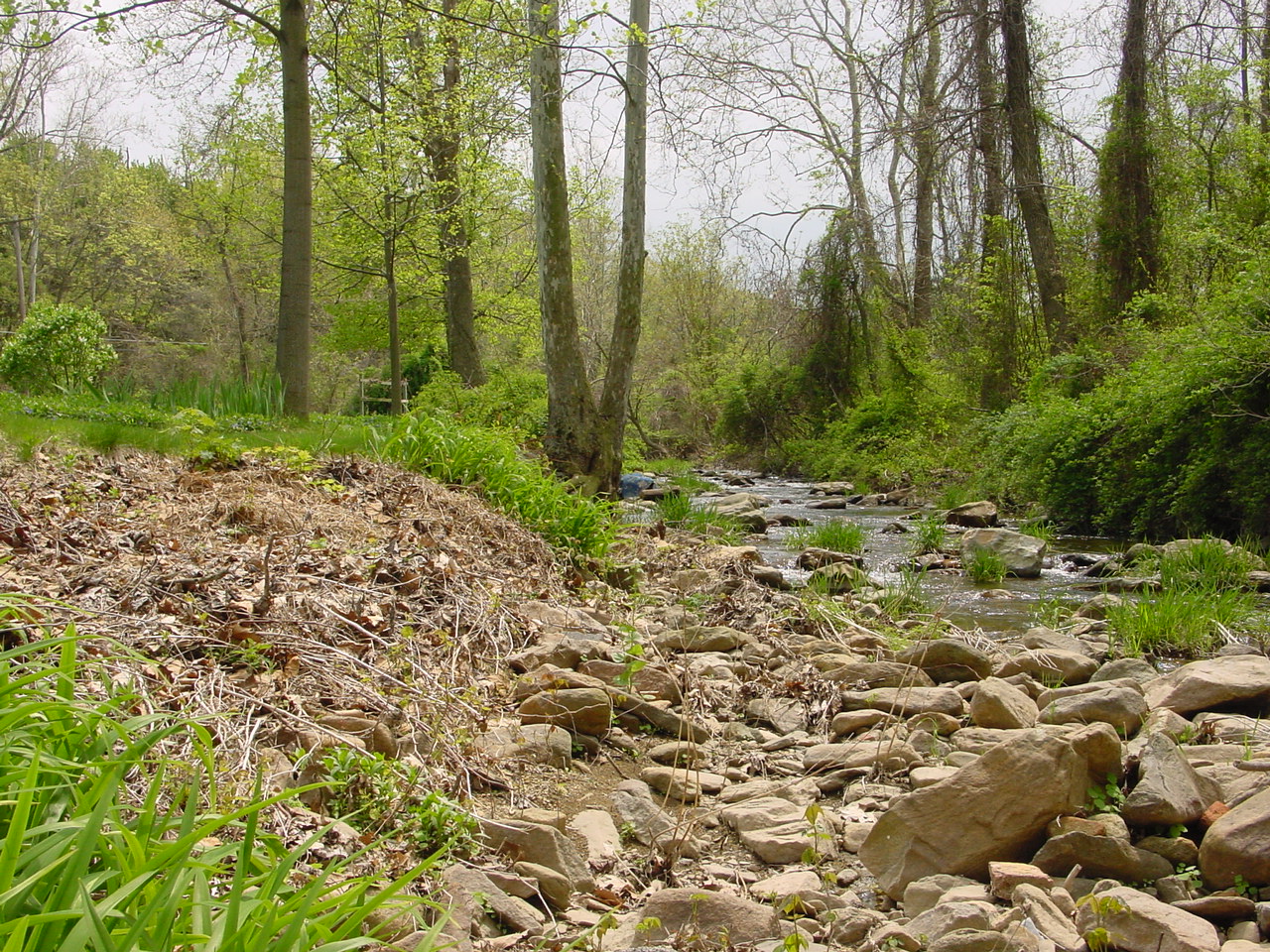 Field photo showing stream conditions at site ANTI-215-R-2003-1