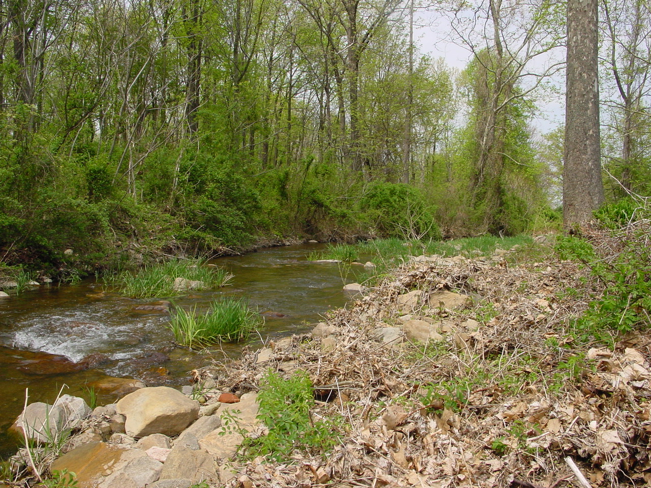 Field photo showing stream conditions at site ANTI-215-R-2003-2