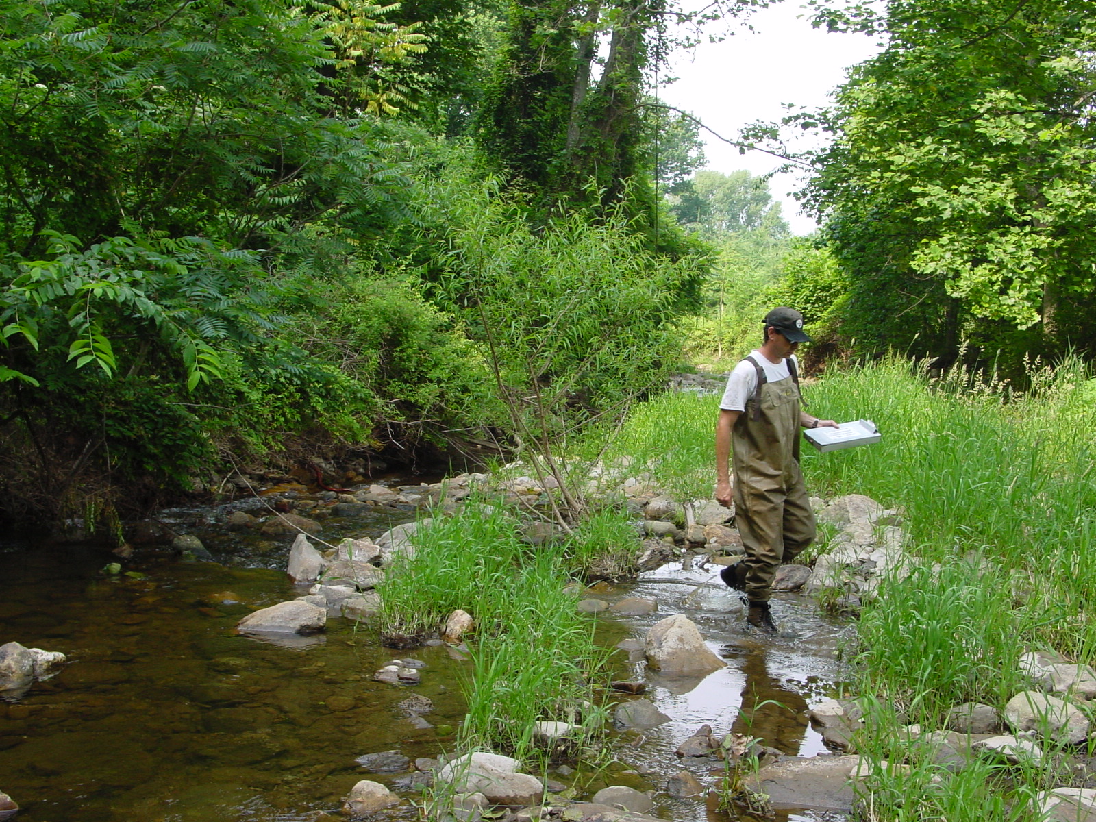 Field photo showing stream conditions at site ANTI-215-R-2003-4