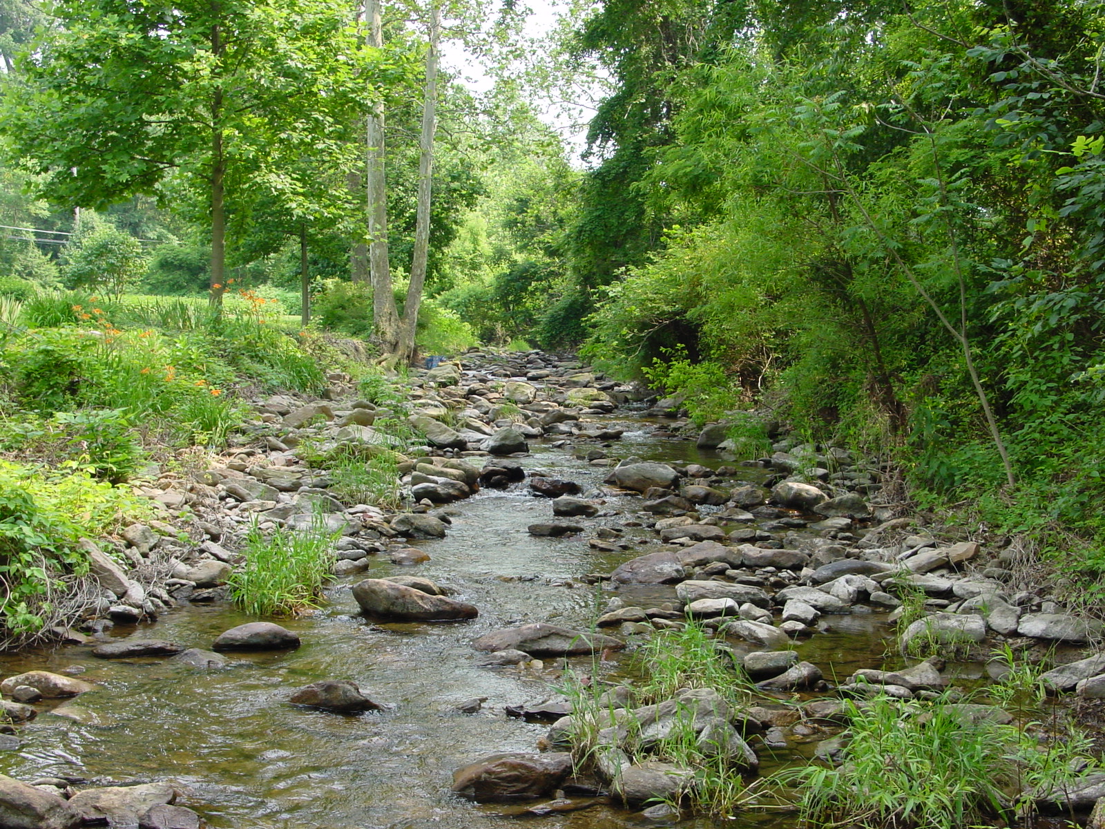 Field photo showing stream conditions at site ANTI-215-R-2003-5