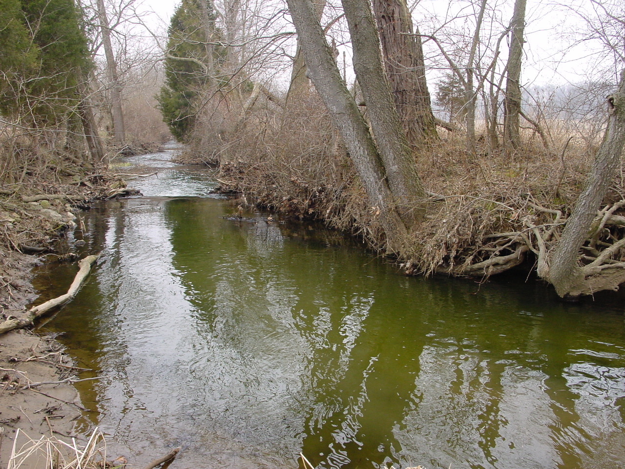 Field photo showing stream conditions at site ANTI-226-R-2003-1