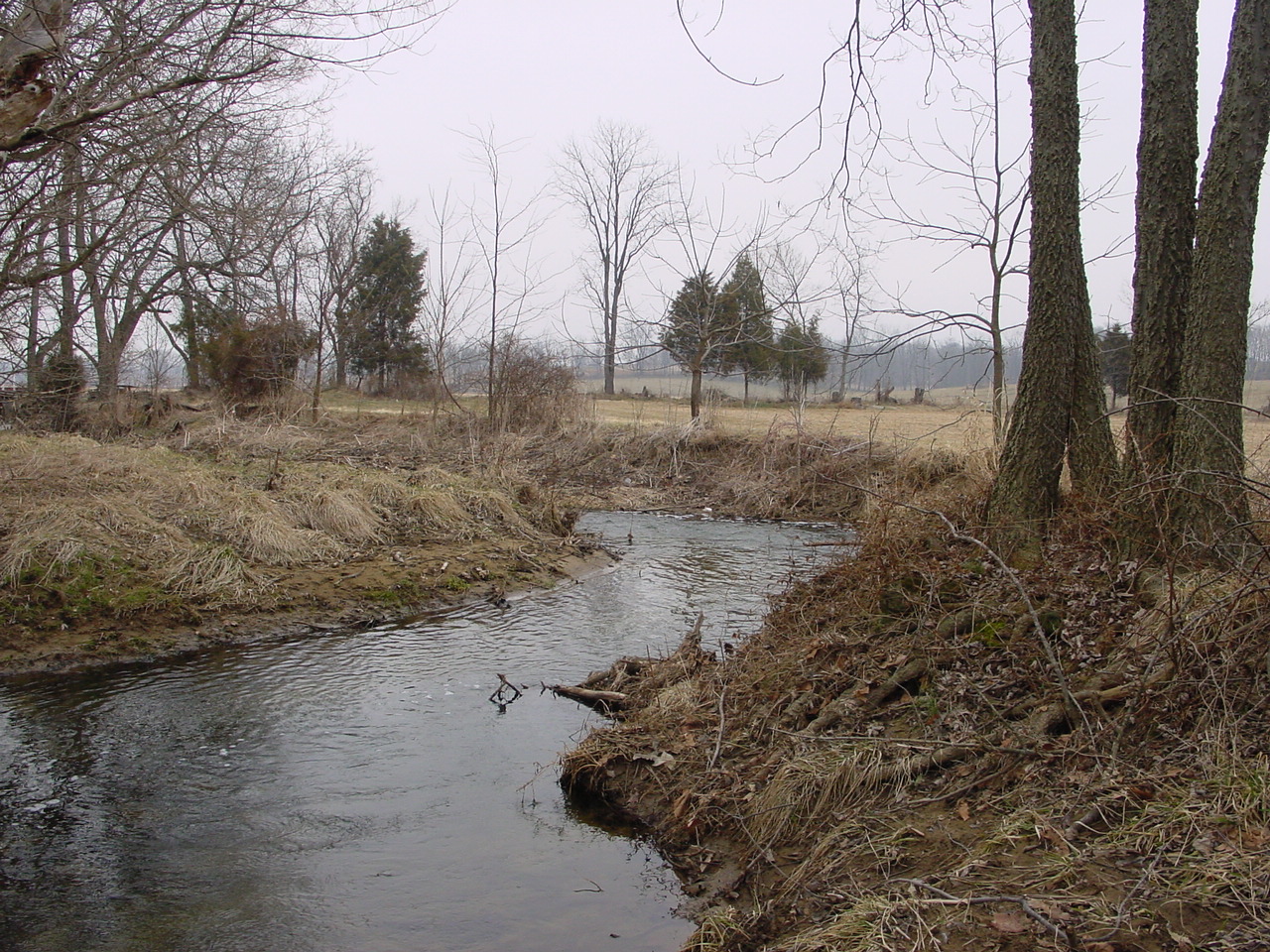 Field photo showing stream conditions at site ANTI-226-R-2003-3