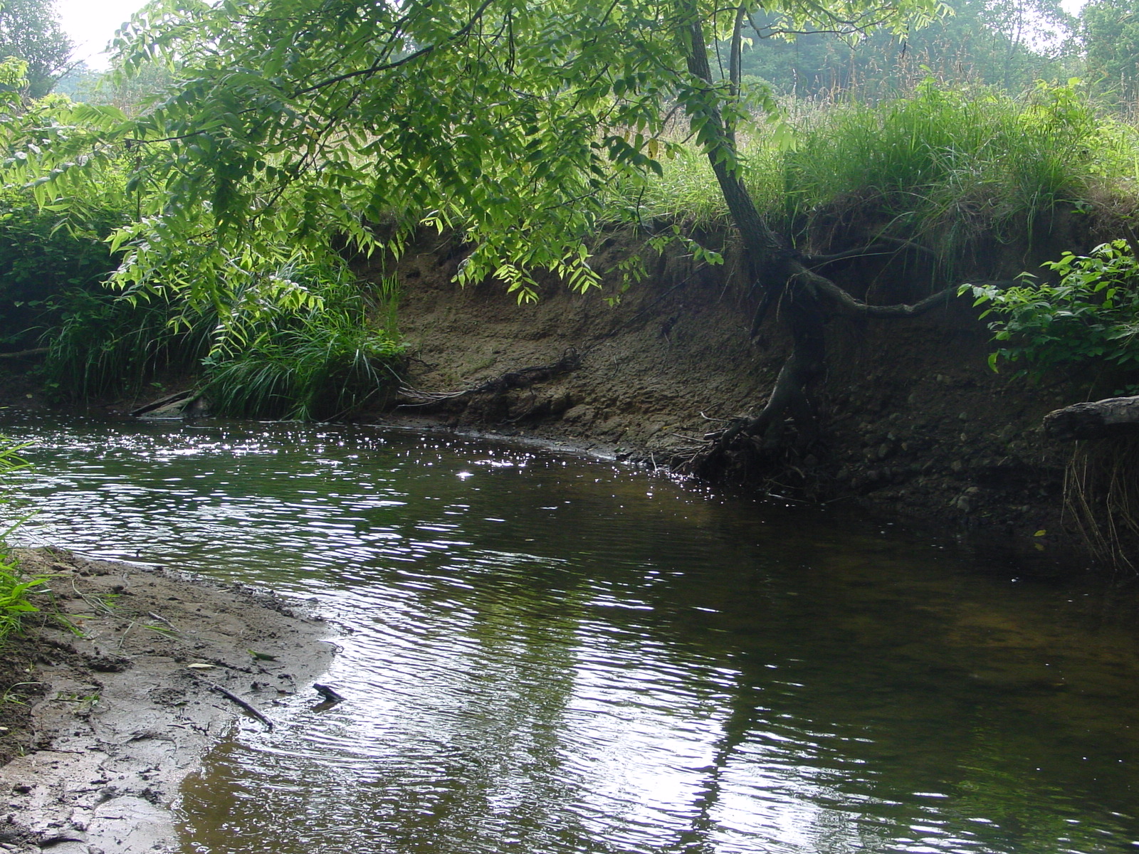 Field photo showing stream conditions at site ANTI-226-R-2003-4