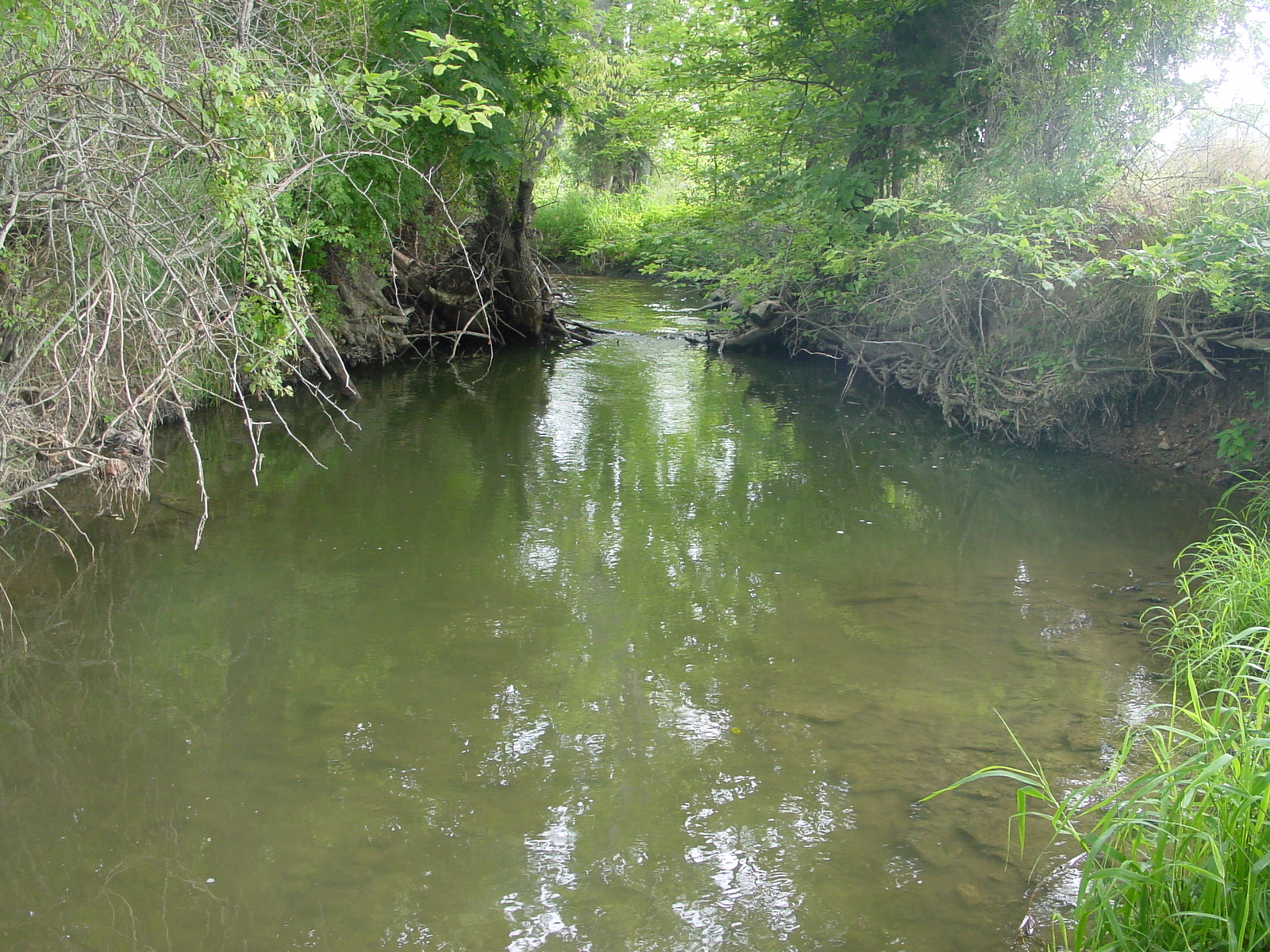 Field photo showing stream conditions at site ANTI-226-R-2003-5