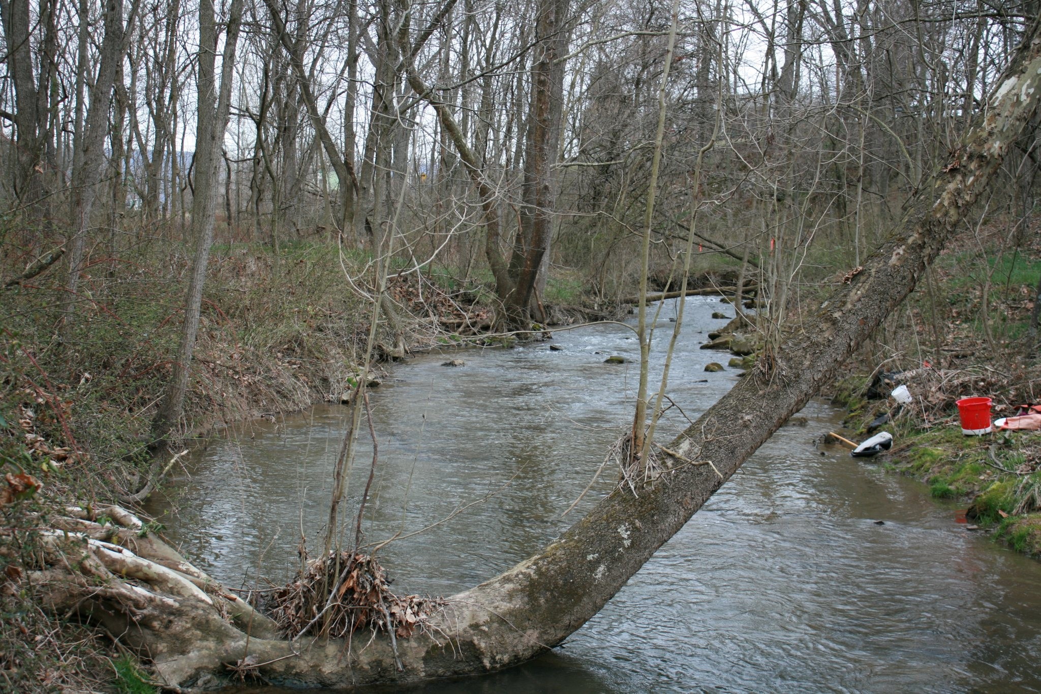Field photo showing stream conditions at site ANTI-290-B-2012_25mMarkUpstream
