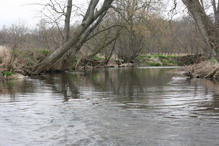 Field photo showing stream conditions at site ANTI-302-R-2009-1