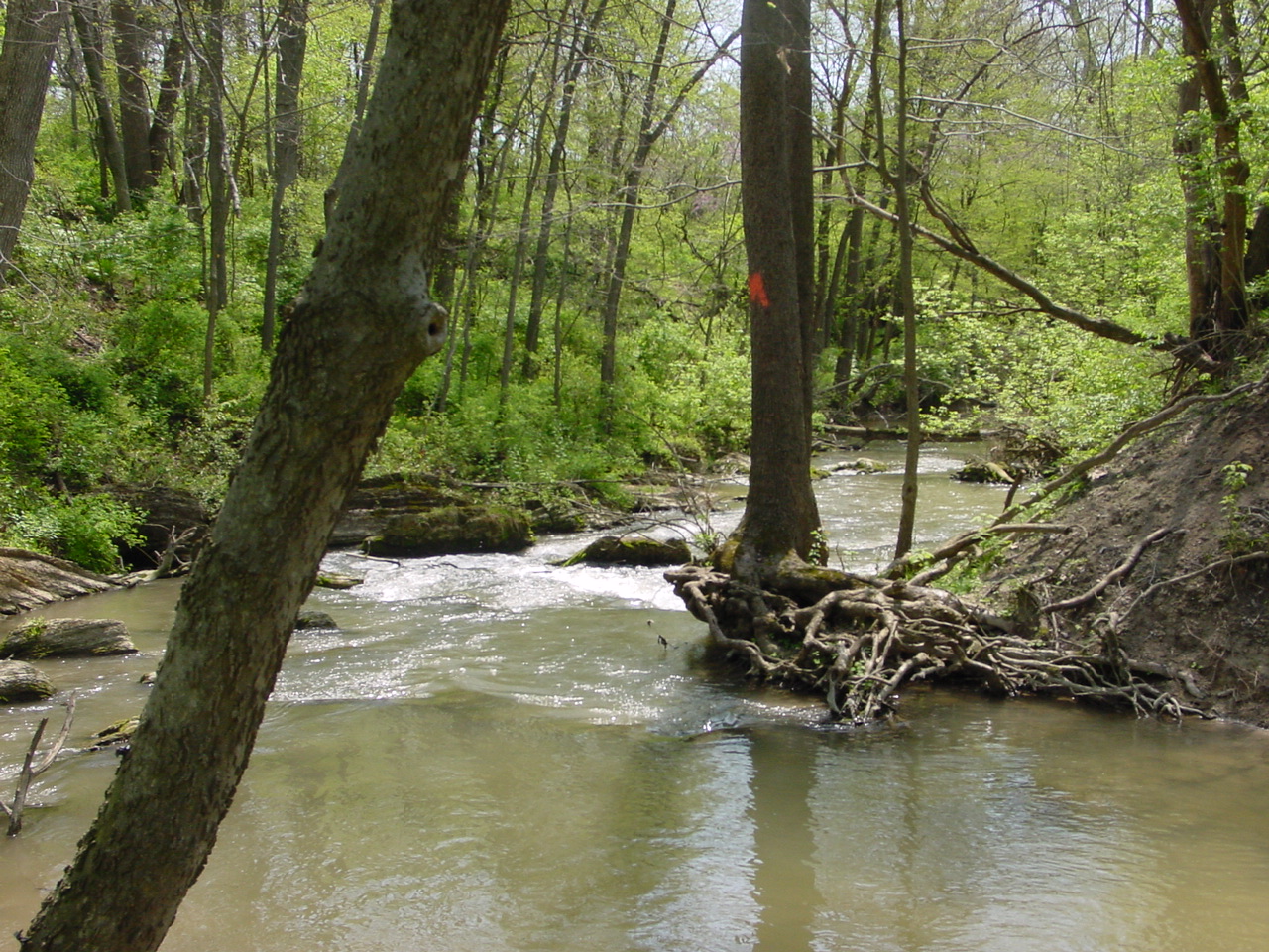Field photo showing stream conditions at site ANTI-304-R-2003-1